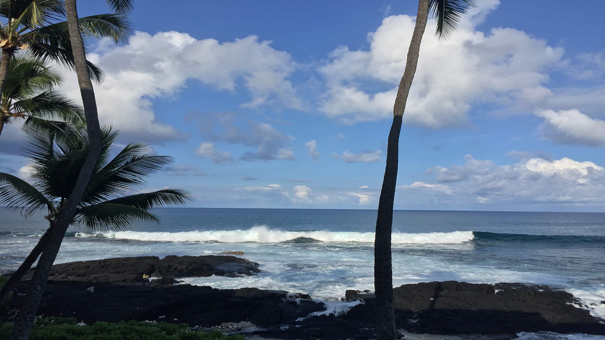 Condo in Kailua-Kona · ★4.18 · 2 bedrooms · 4 beds · No bathroom - Image 20