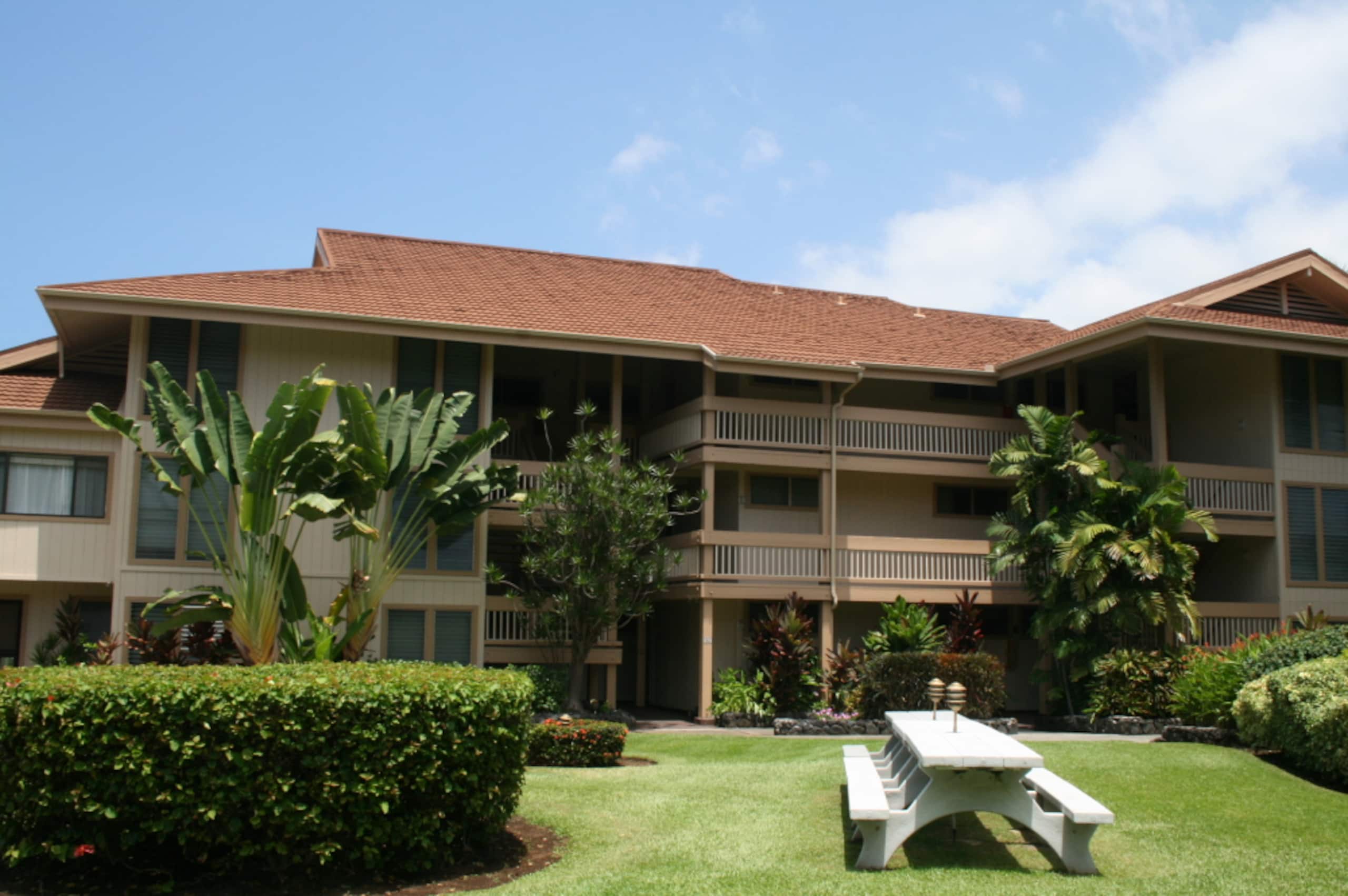 Condo in Kailua-Kona · ★4.75 · 1 bedroom · 2 beds · No bathroom - Image 2