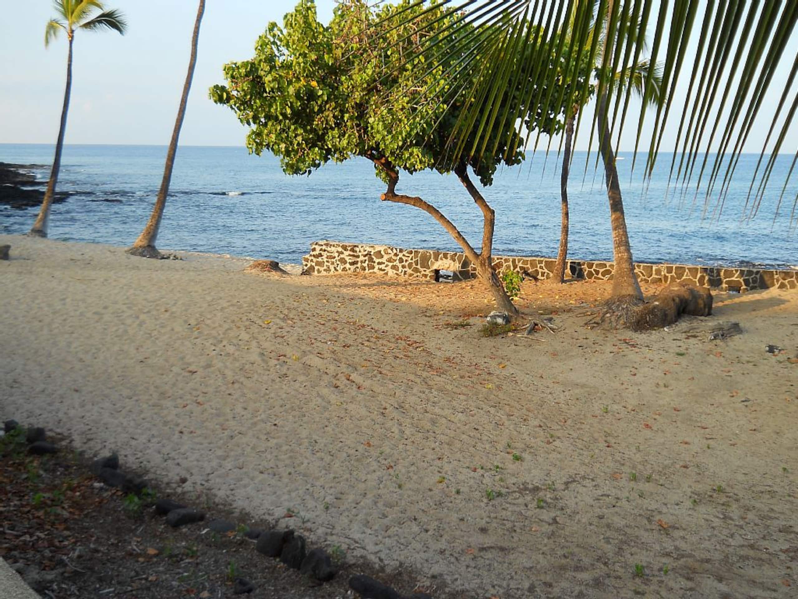 Condo in Kailua-Kona · ★4.75 · 1 bedroom · 2 beds · No bathroom - Image 21