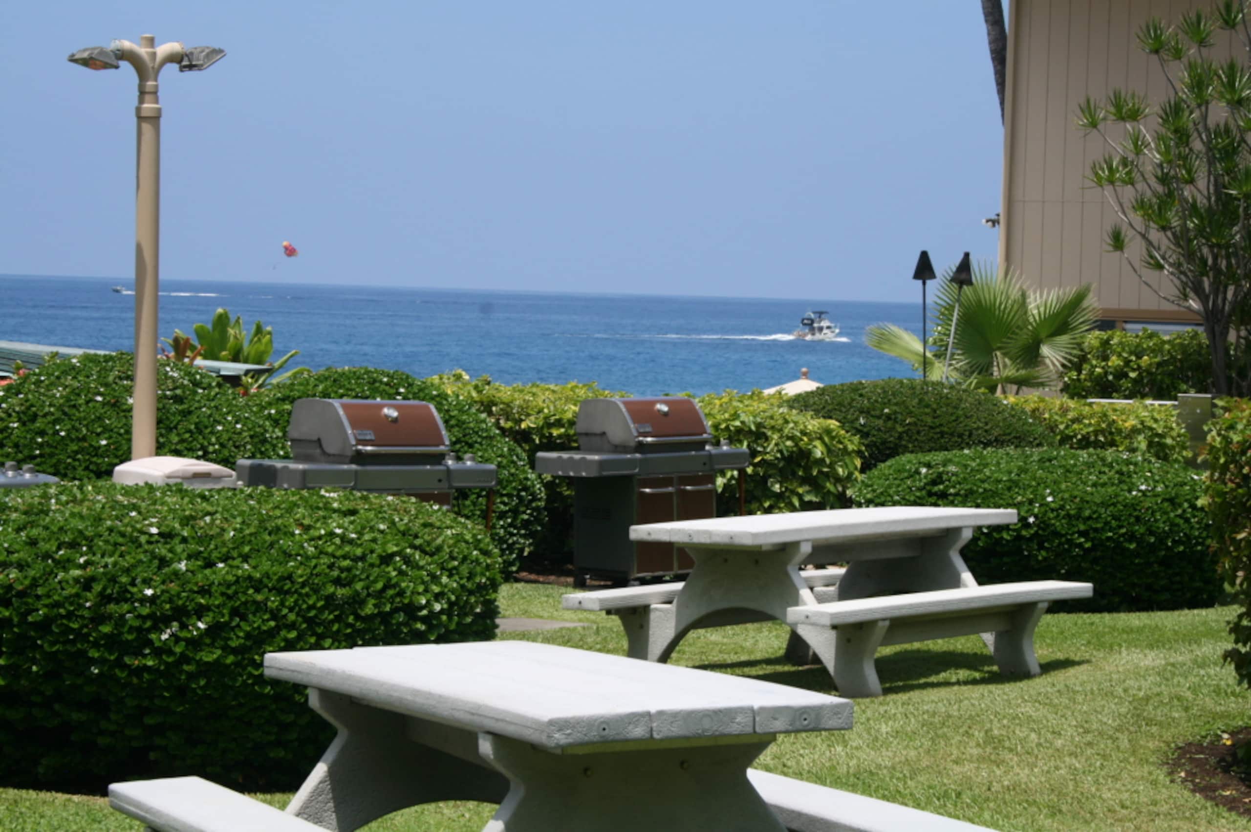 Condo in Kailua-Kona · ★4.75 · 1 bedroom · 2 beds · No bathroom - Image 22