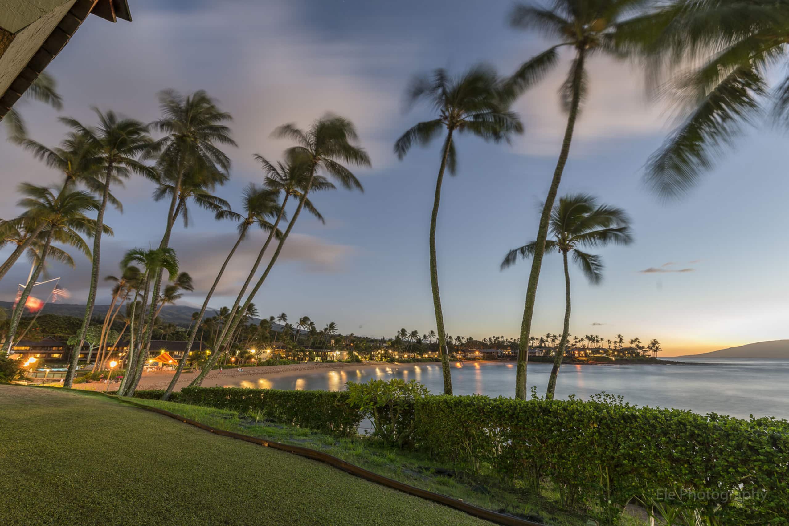 Condo in Napili-Honokowai · ★5.0 · 2 bedrooms · 4 beds · 2 baths - Image 34