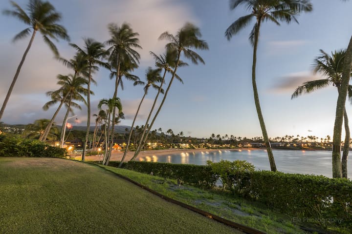 Napili Lani 320 — Beach Lovers’ Paradise