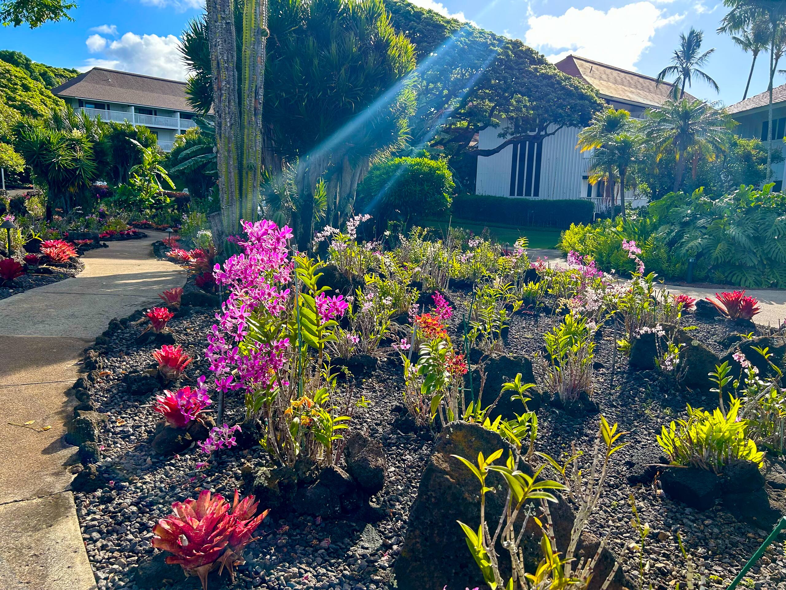 Condo in Koloa · ★4.79 · 1 bedroom · 2 beds · 1 shared bath - Image 38