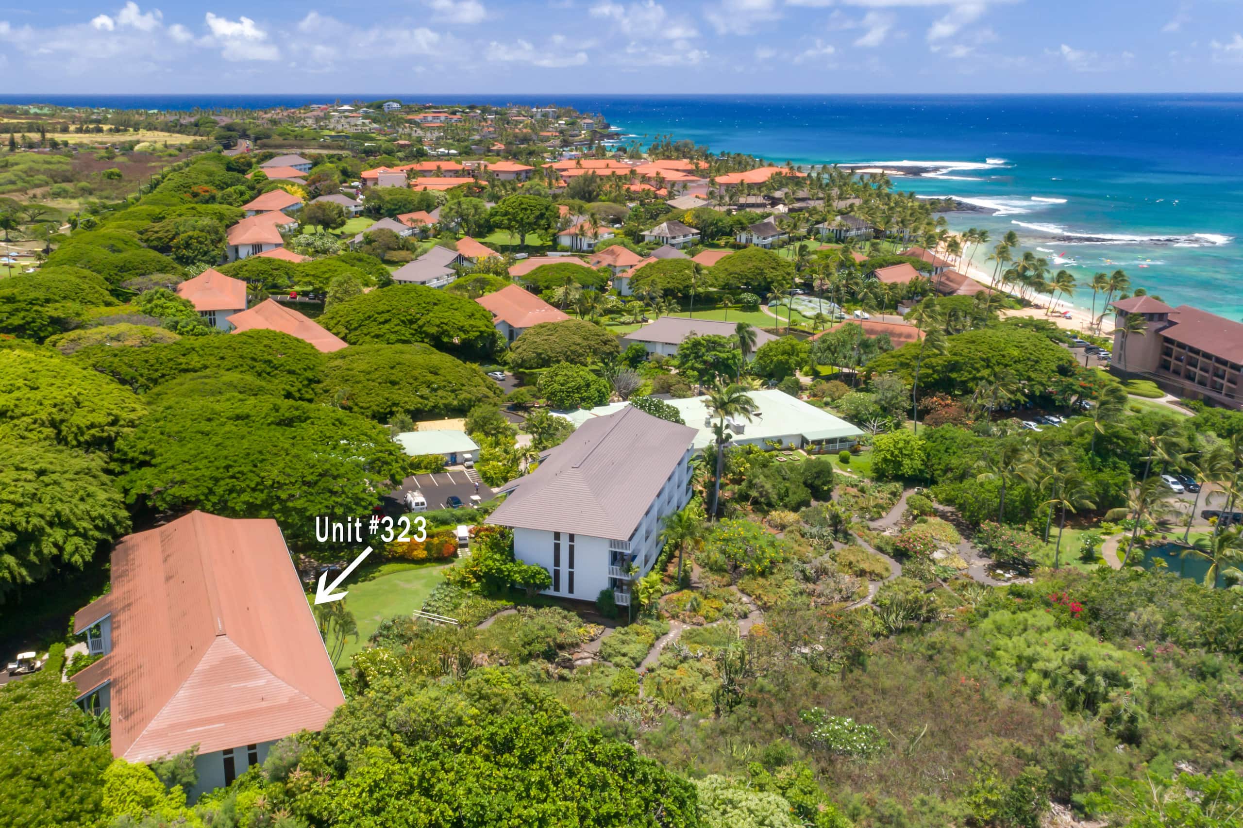 Condo in Koloa · ★4.79 · 1 bedroom · 2 beds · 1 shared bath - Image 24