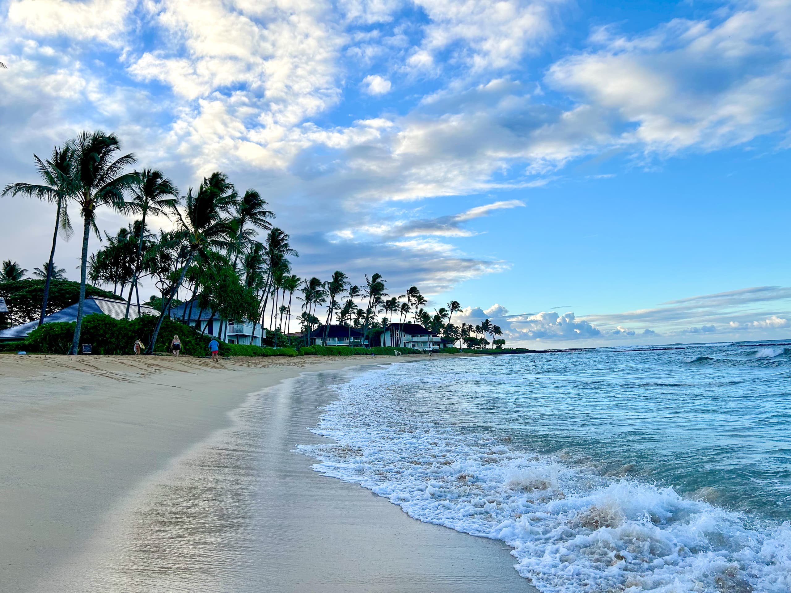 Condo in Koloa · ★4.79 · 1 bedroom · 2 beds · 1 shared bath - Image 22