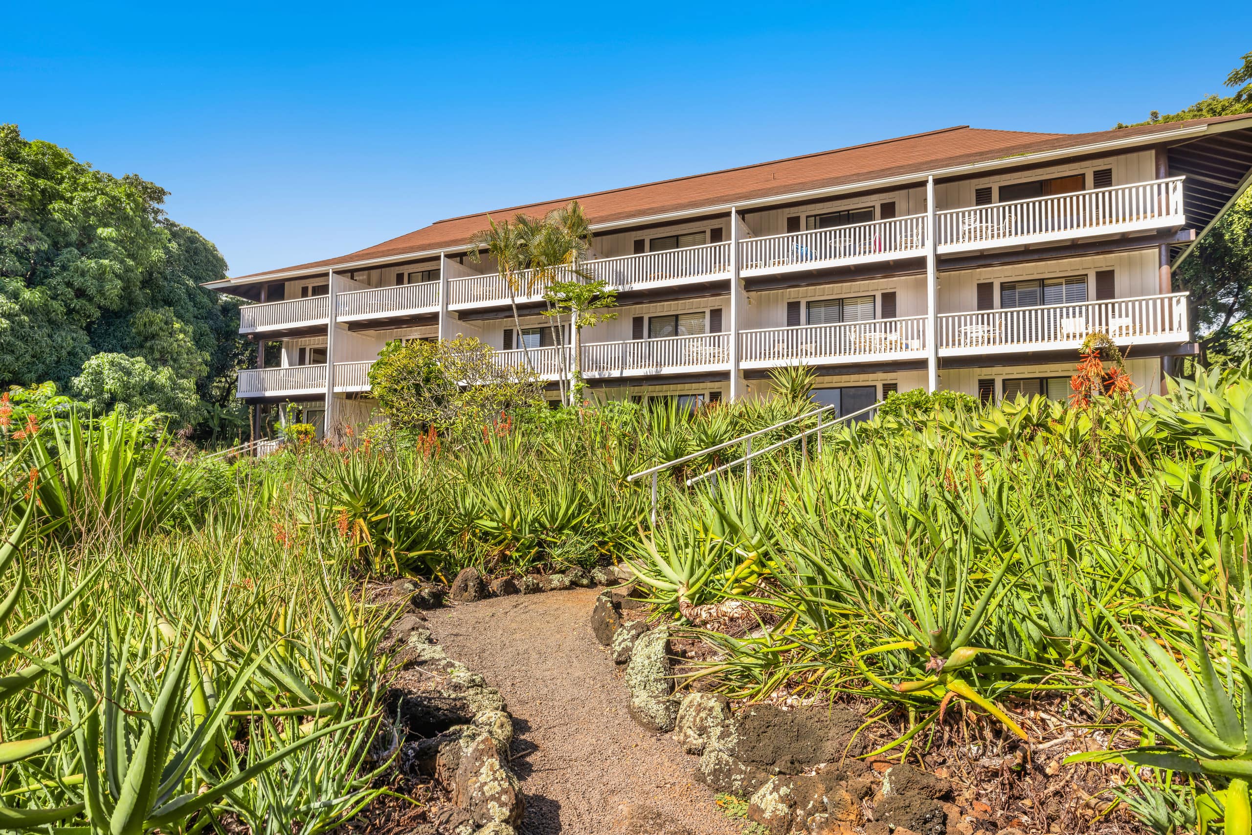 Condo in Koloa · ★4.79 · 1 bedroom · 2 beds · 1 shared bath - Image 31