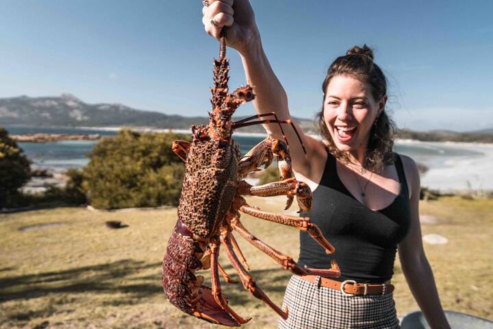 Crayshack an authentic Tasmanian beach side shack gallery image 2