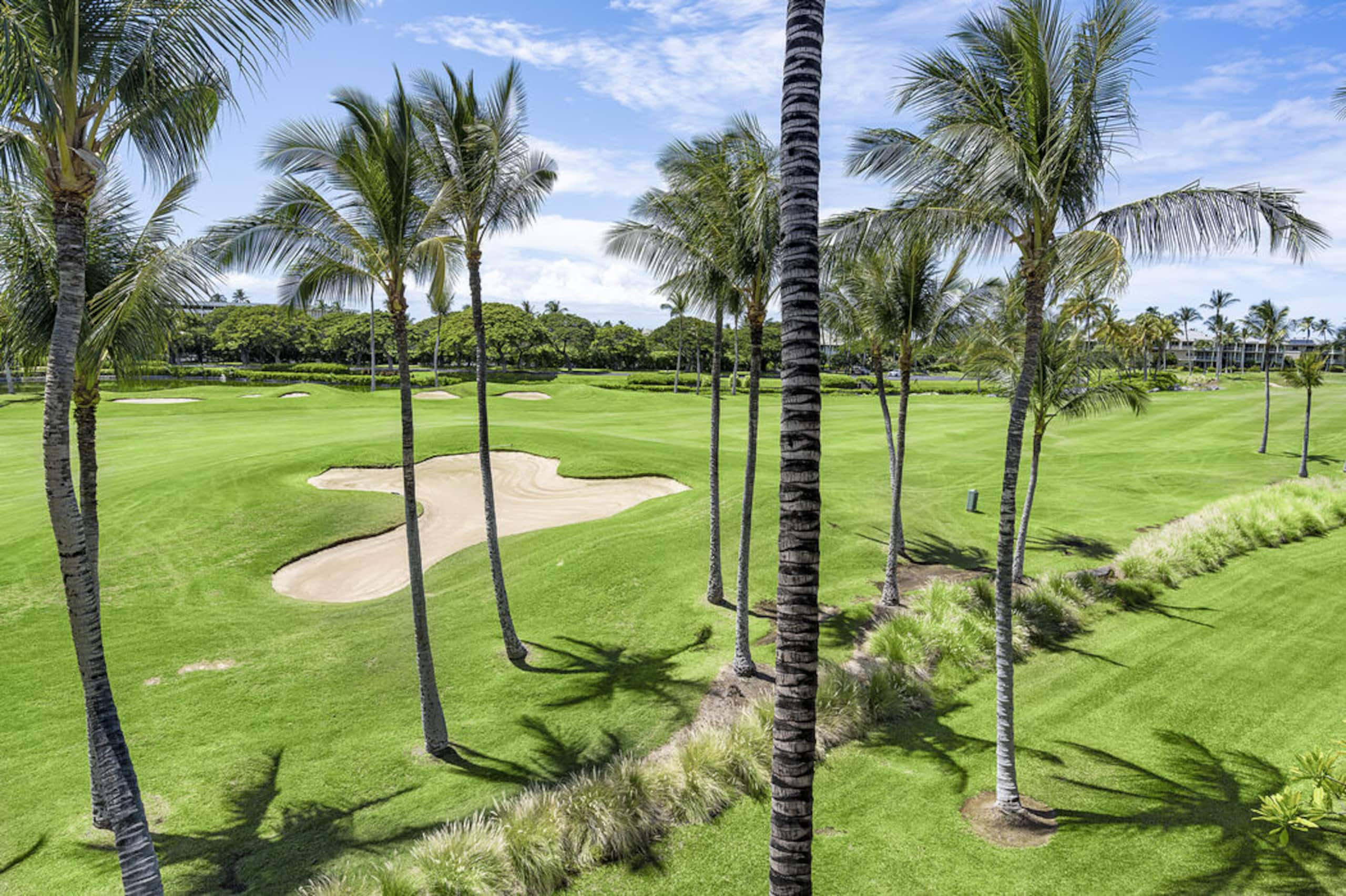 Penthouse w/ Golf & Lake Views - Photo 24