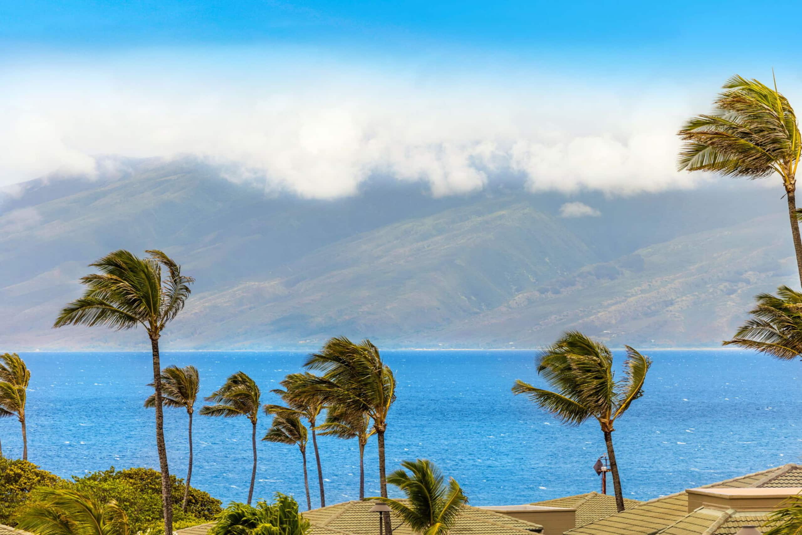 Condo in Lahaina · ★4.82 · 1 bedroom · 2 beds · 1.5 baths - Image 54
