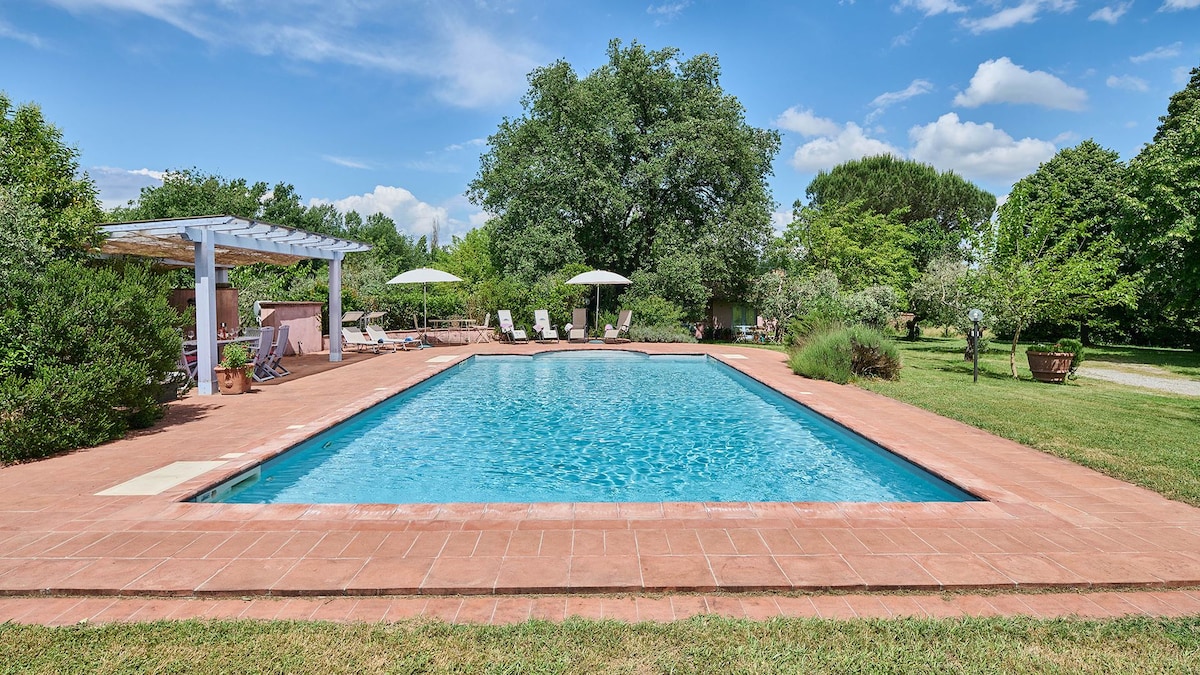 A spacious private pool is framed by a sun terrace with sun loungers and umbrellas. Lush greenery surrounds the area, including trees and shrubs, providing a serene outdoor retreat. The pool, designed with Roman steps, is inviting and offers a refreshing escape.
