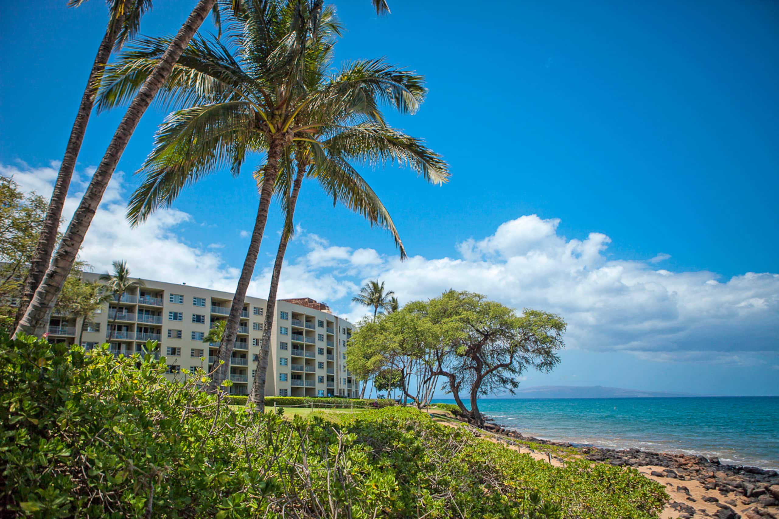 Condo in Kihei · ★5.0 · 2 bedrooms · 4 beds · 2 baths - Image 43