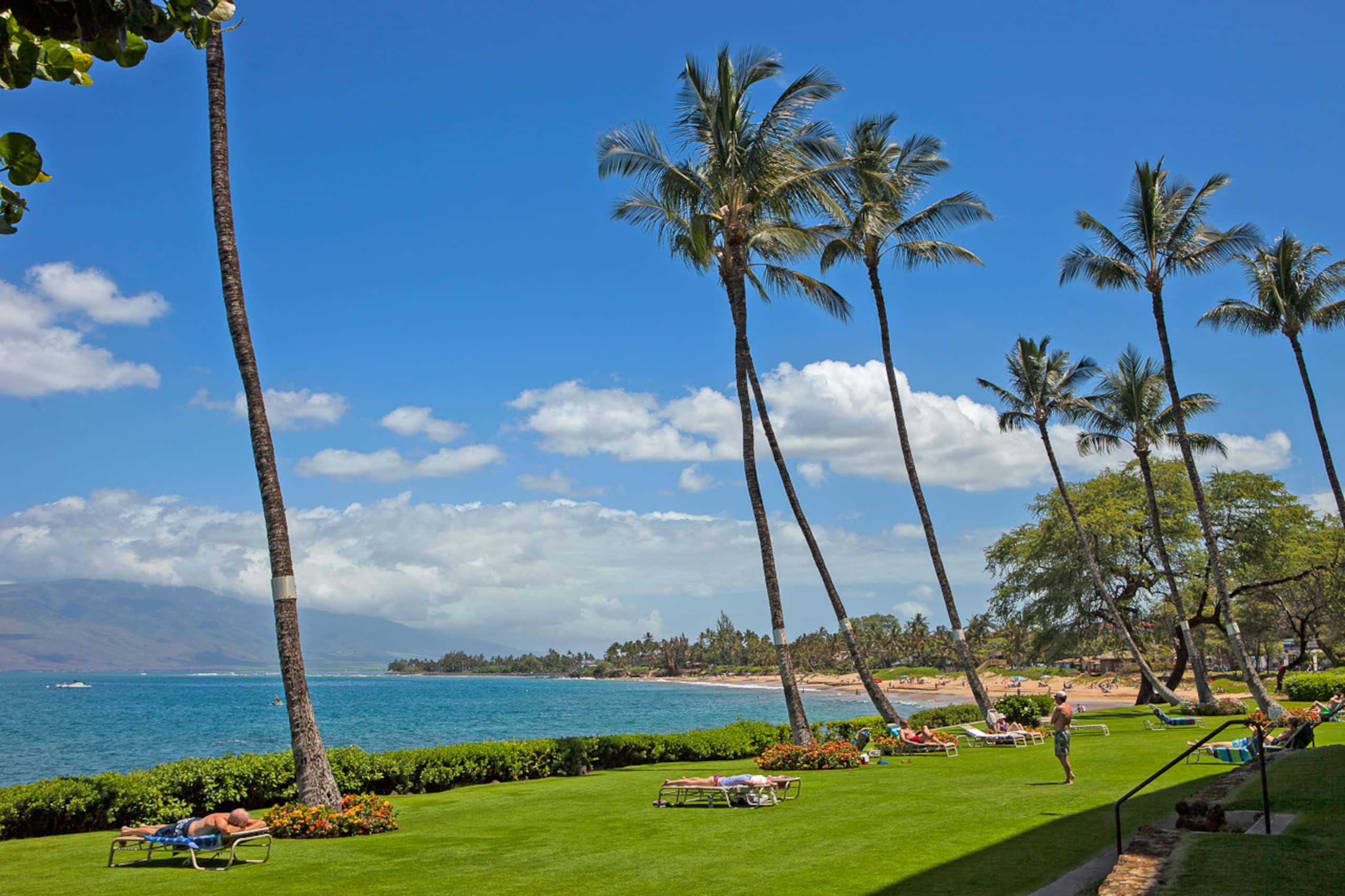 Condo in Kihei · ★5.0 · 2 bedrooms · 4 beds · 2 baths - Image 53