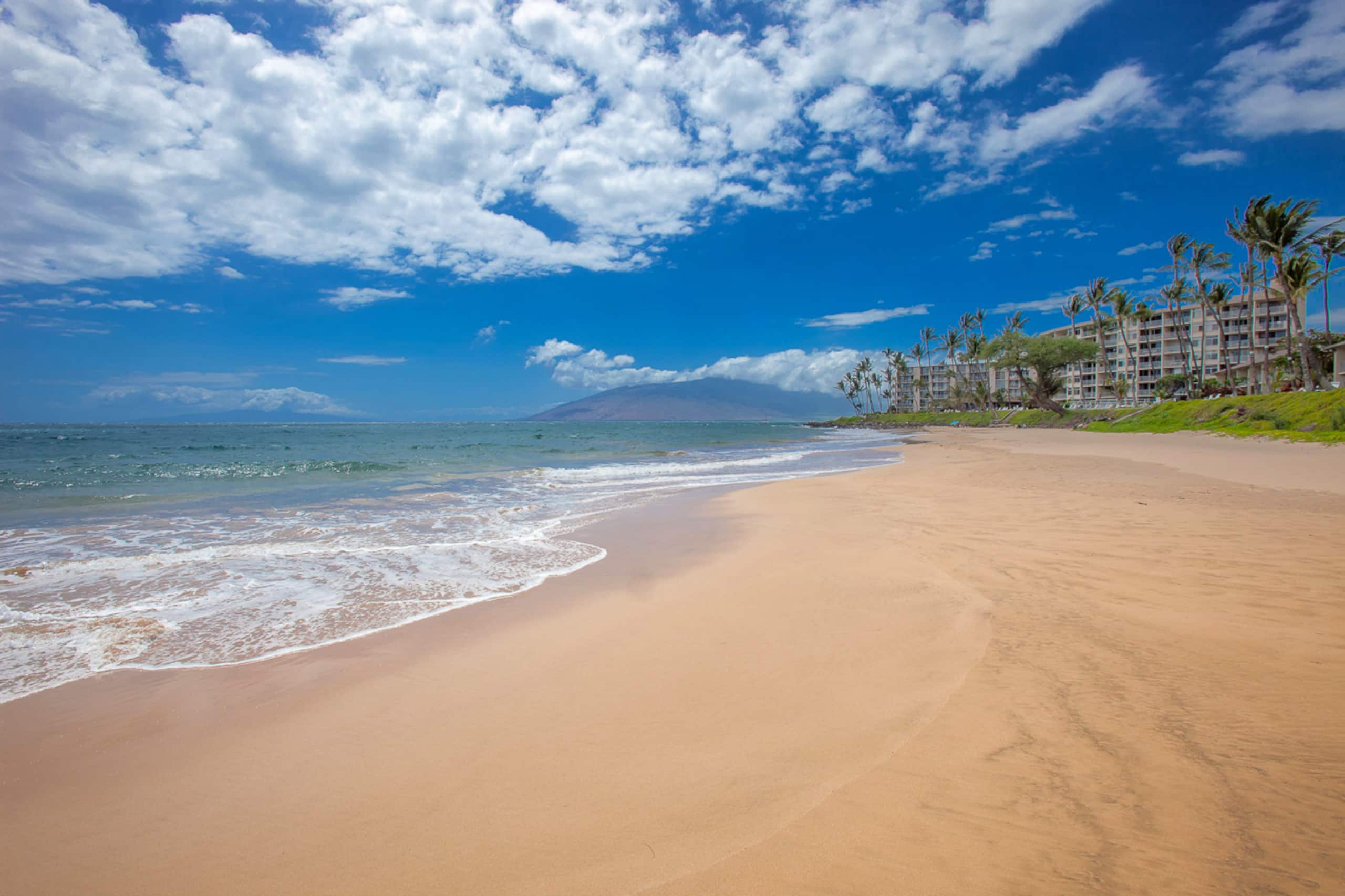 Condo in Kihei · ★5.0 · 2 bedrooms · 4 beds · 2 baths - Image 34