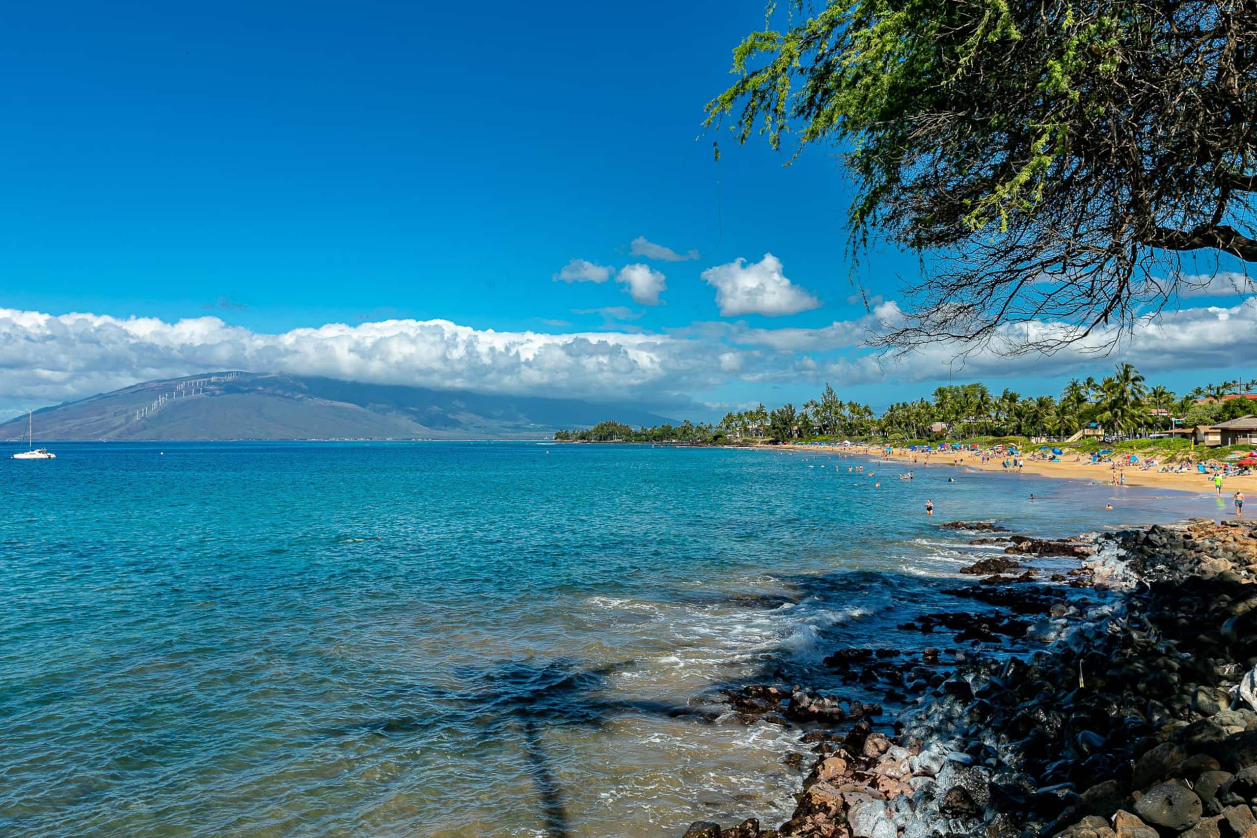 Condo in Kihei · ★5.0 · 2 bedrooms · 4 beds · 2 baths - Image 39