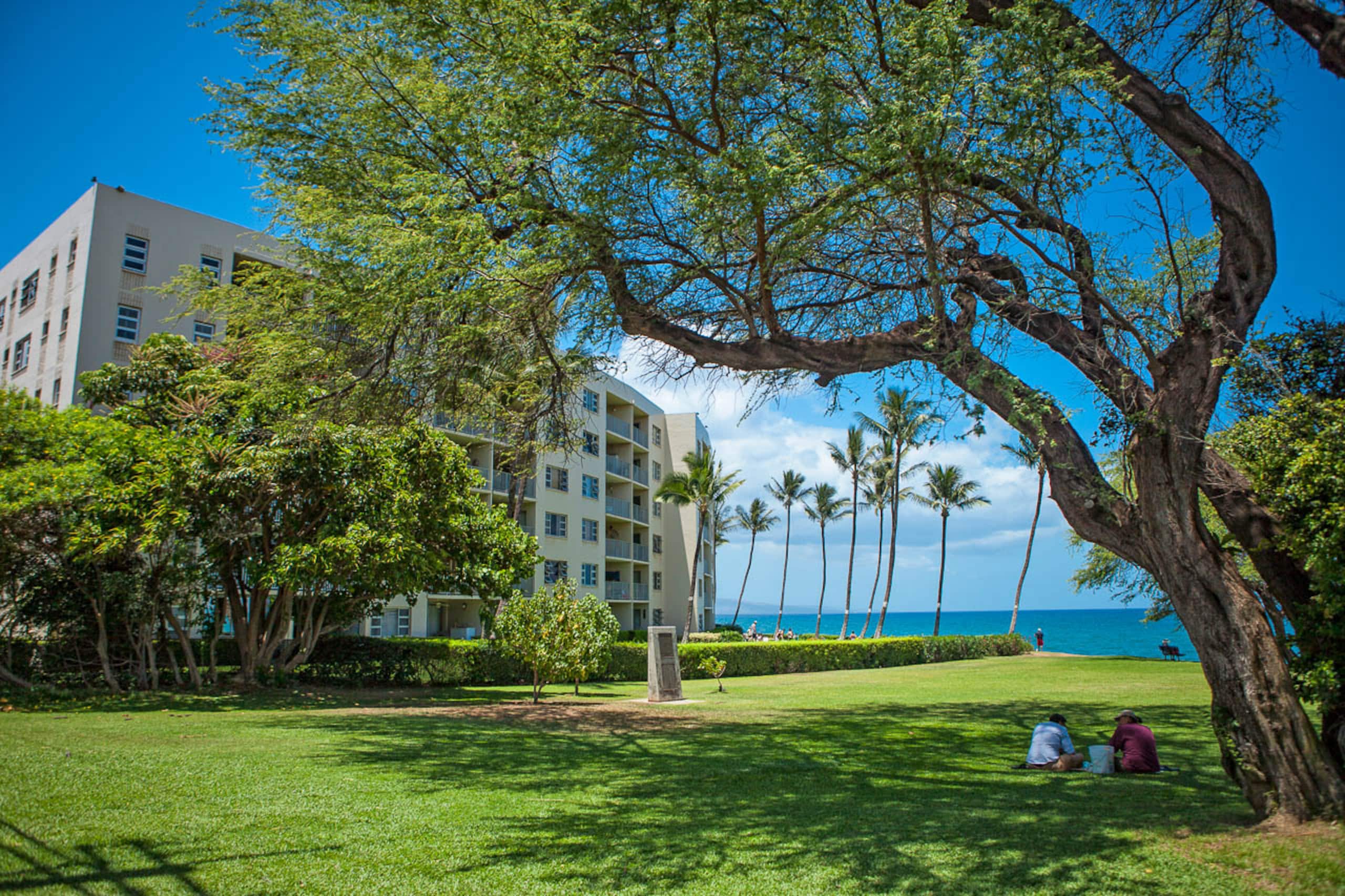 Condo in Kihei · ★5.0 · 2 bedrooms · 4 beds · 2 baths - Image 41