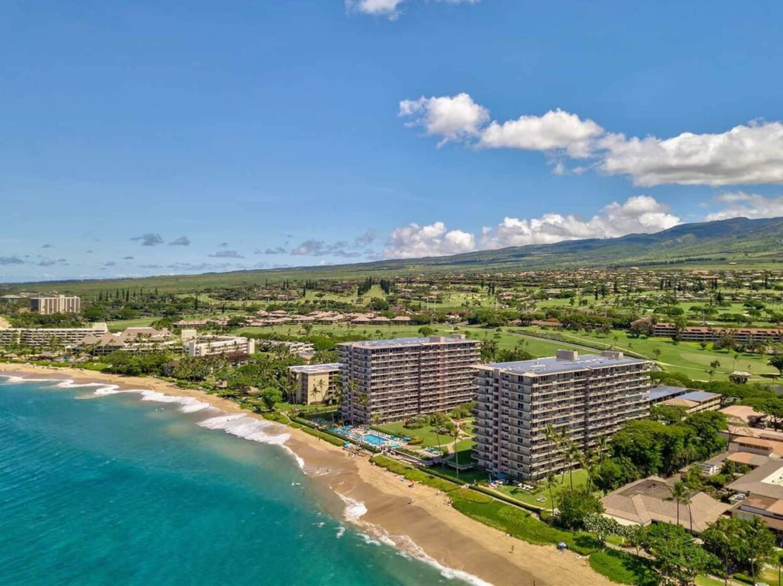 Condo in Lahaina · ★4.88 · Studio · 1 bath - Image 23