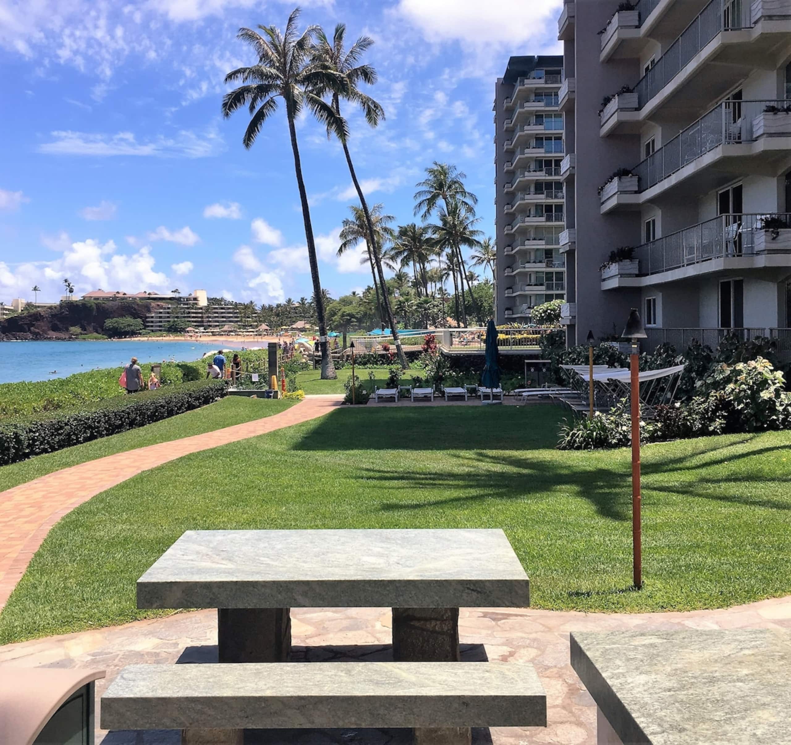 Condo in Lahaina · ★4.88 · Studio · 1 bath - Image 20