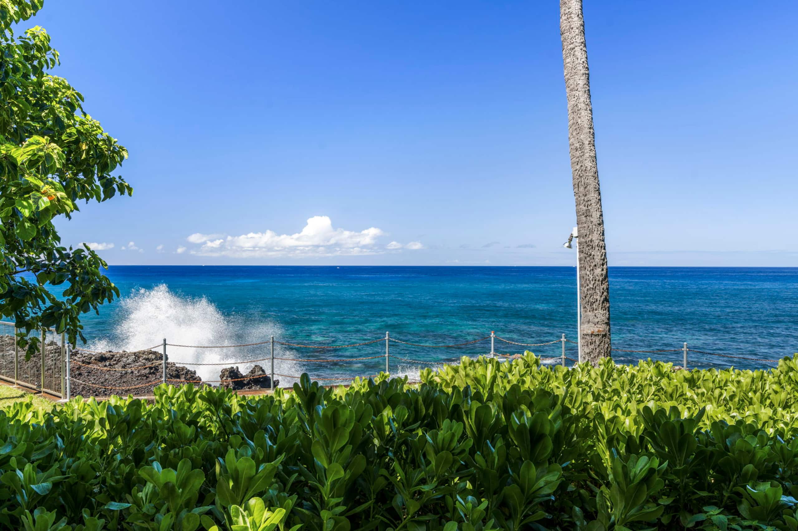 Condo in Kailua-Kona · ★4.88 · 2 bedrooms · 3 beds · 2 baths - Image 47