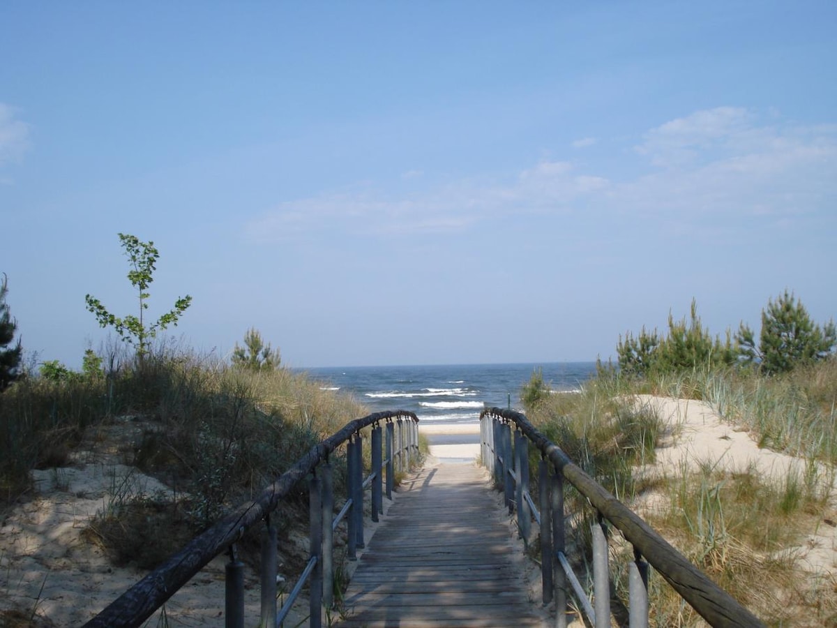 A wooden boardwalk leads through sandy dunes towards the beach, with gentle waves visible in the distance. The sky displays a soft blue hue, complemented by a few clouds. Vegetation flanks the path, adding a touch of greenery to the coastal landscape.