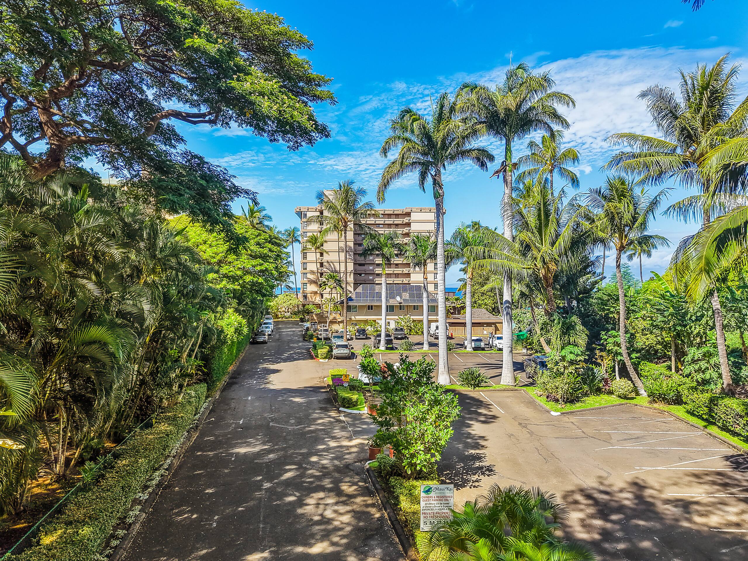 Condo in Lahaina · ★4.81 · 1 bedroom · 2 beds · 1 bath - Image 37