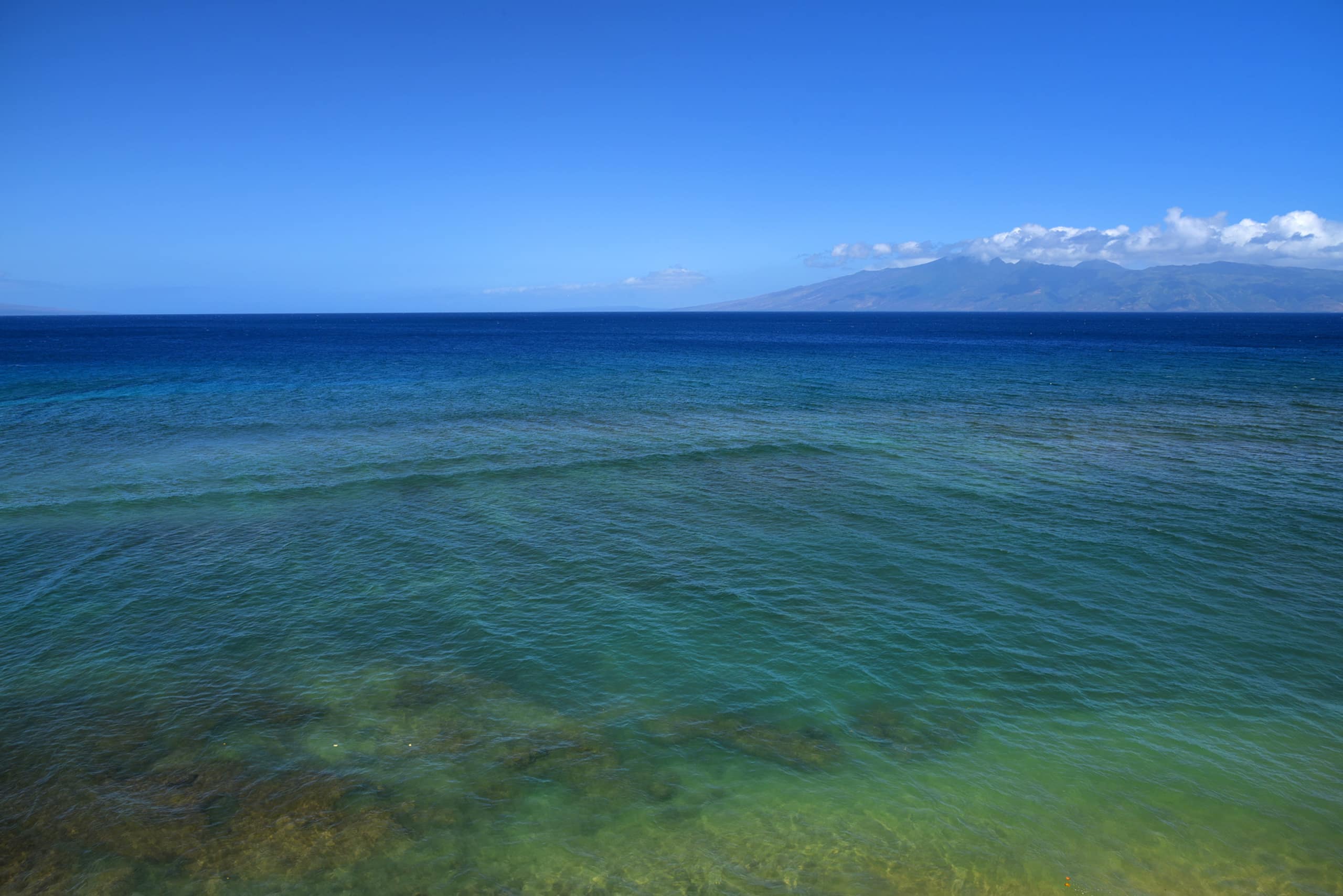 Condo in Lahaina · ★4.81 · 1 bedroom · 2 beds · 1 bath - Image 42