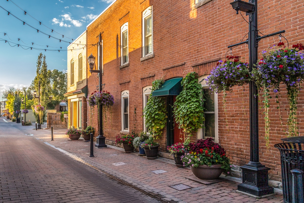A charming brick-lined alleyway is illuminated by warm sunlight, featuring pedestrian-friendly walkways. Decorative lampposts adorned with vibrant hanging plants and flowers line the pathway, enhancing the historic atmosphere. Potted flowers add splashes of color, inviting a sense of tranquility.