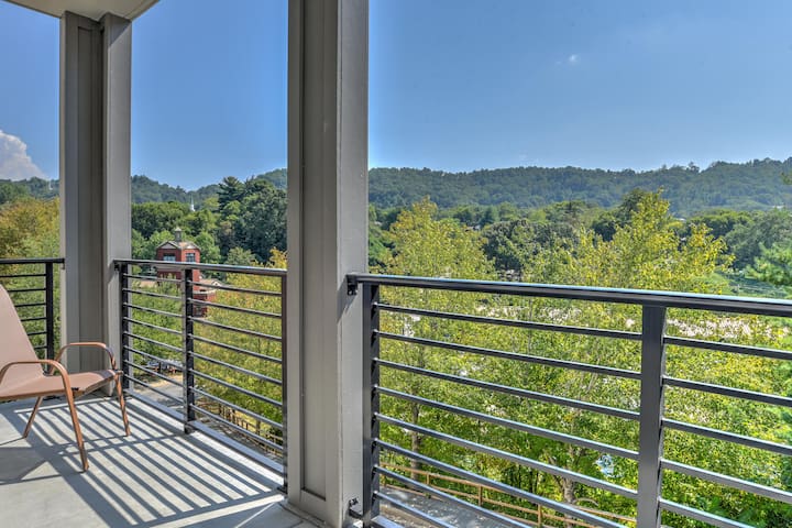 Pet Friendly Central Downtown Asheville