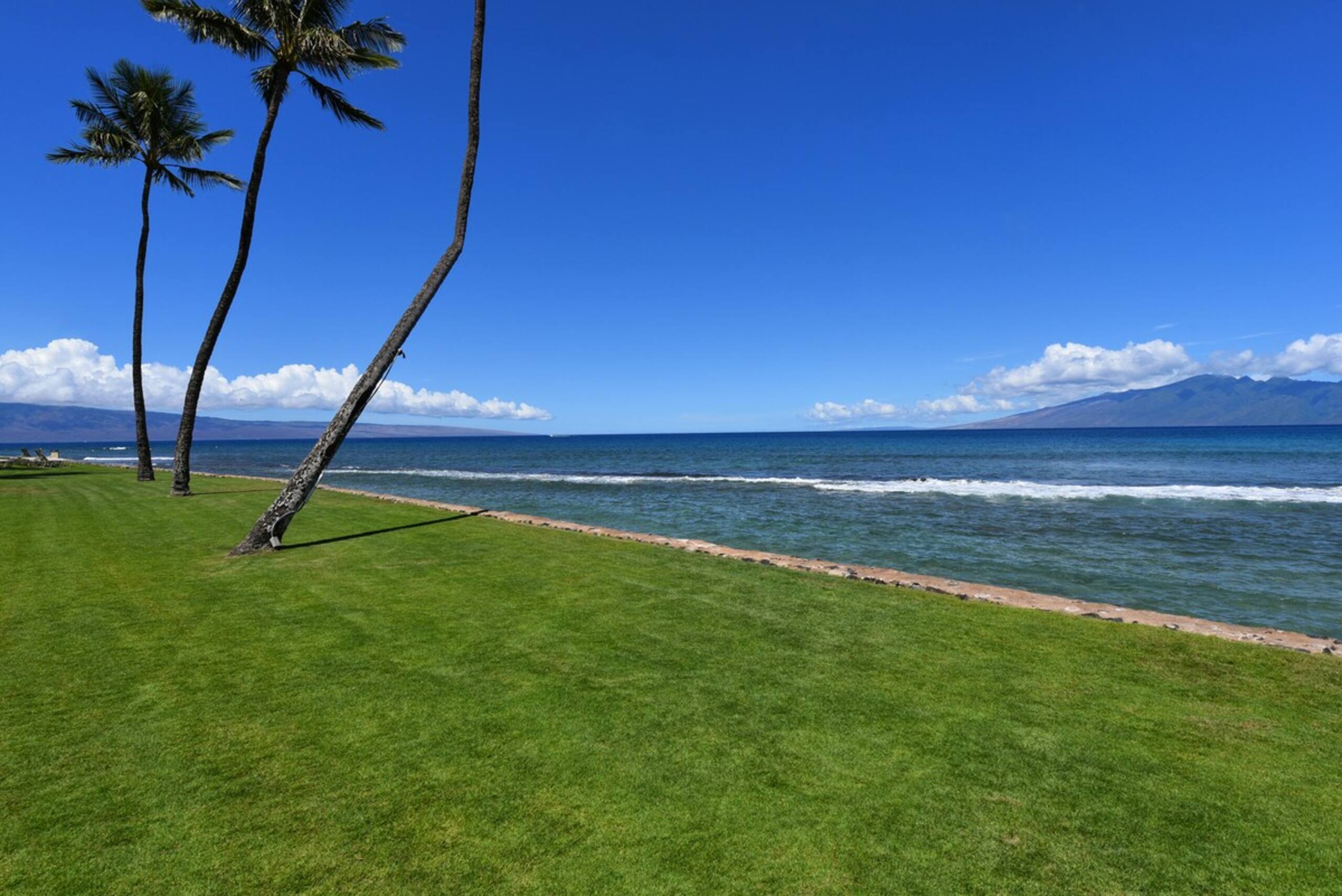 Condo in Lahaina · ★4.43 · 1 bedroom · 2 beds · 1 bath - Image 41