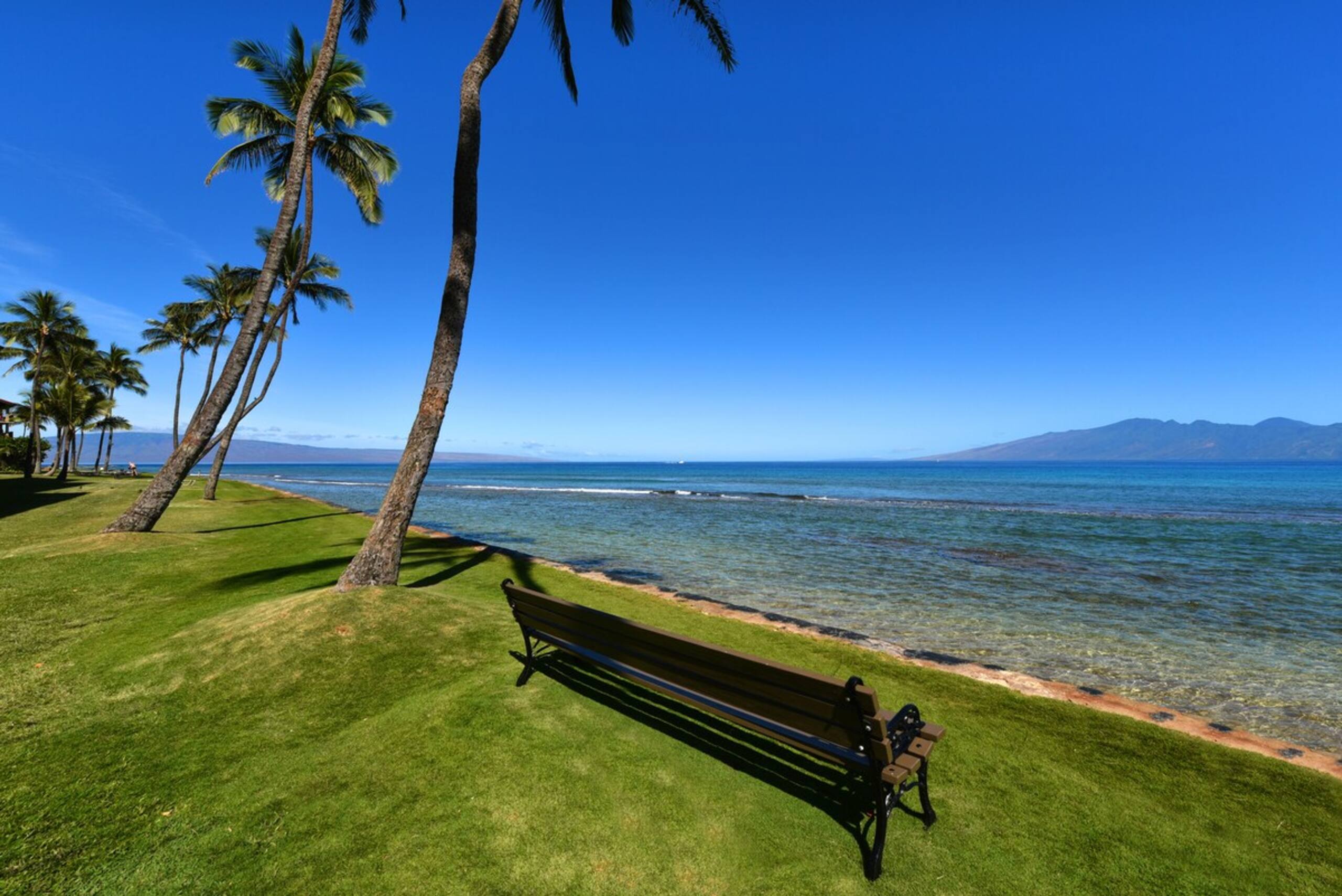 Condo in Lahaina · ★4.43 · 1 bedroom · 2 beds · 1 bath - Image 42