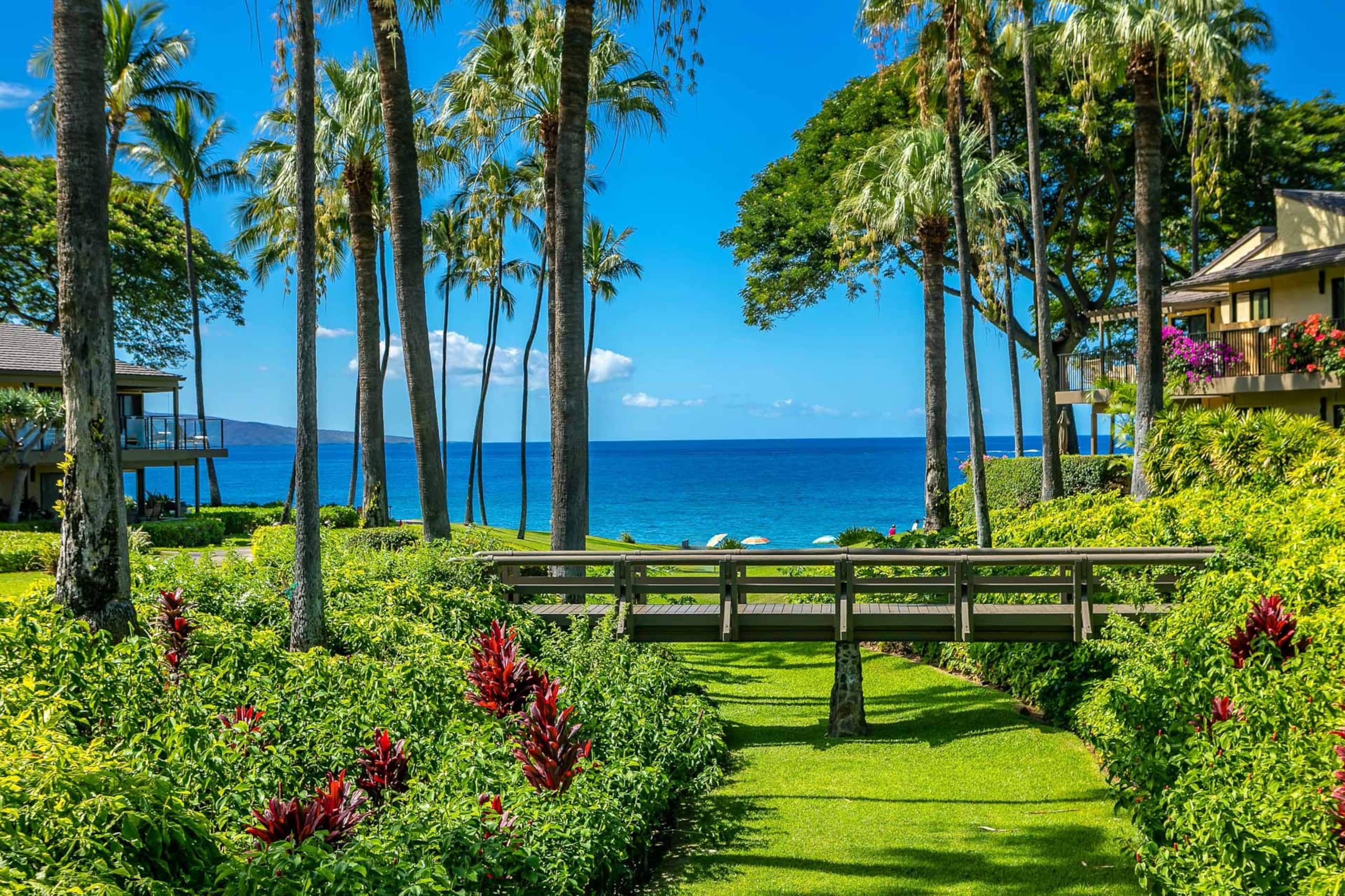 Condo in Kihei · ★4.93 · 2 bedrooms · 4 beds · 2 baths - Image 24