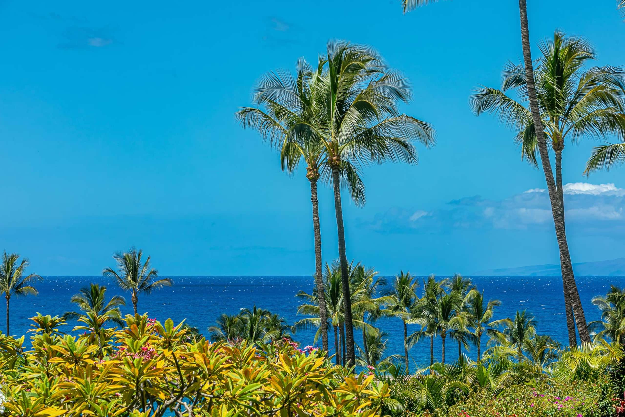 Condo in Kihei · ★4.93 · 2 bedrooms · 4 beds · 2 baths - Image 3