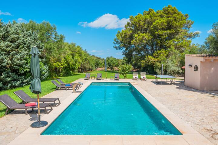 Son French gallery image 3