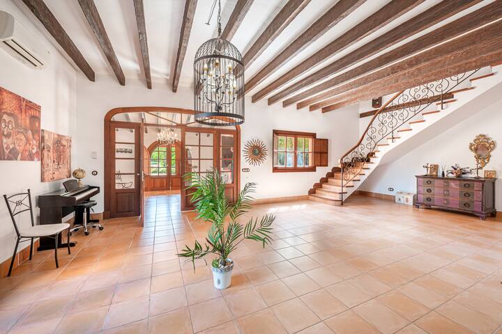 Son French gallery image 4