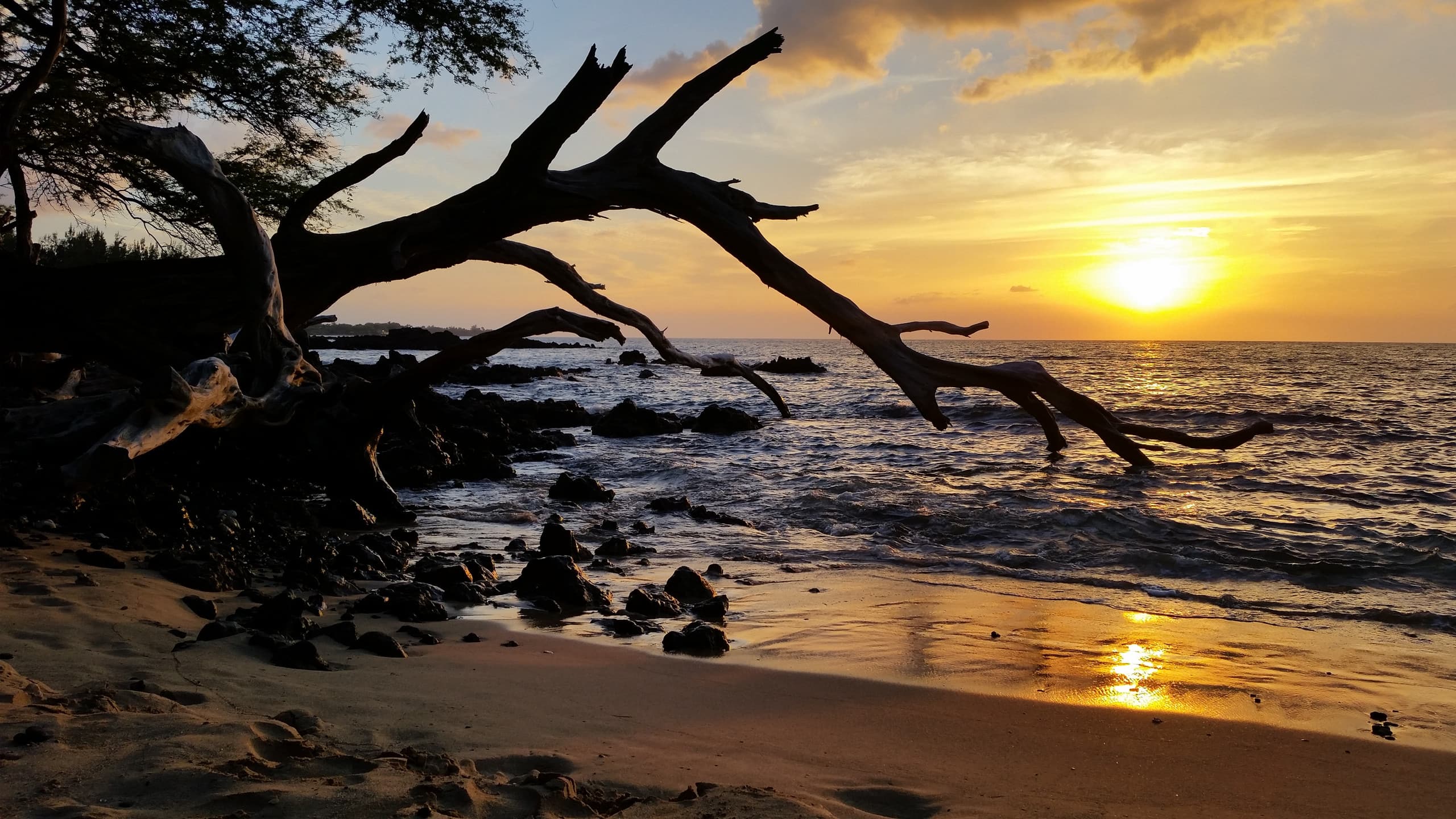 Home in Keaau · ★4.55 · 3 bedrooms · 3 beds · 2 shared baths - Image 24