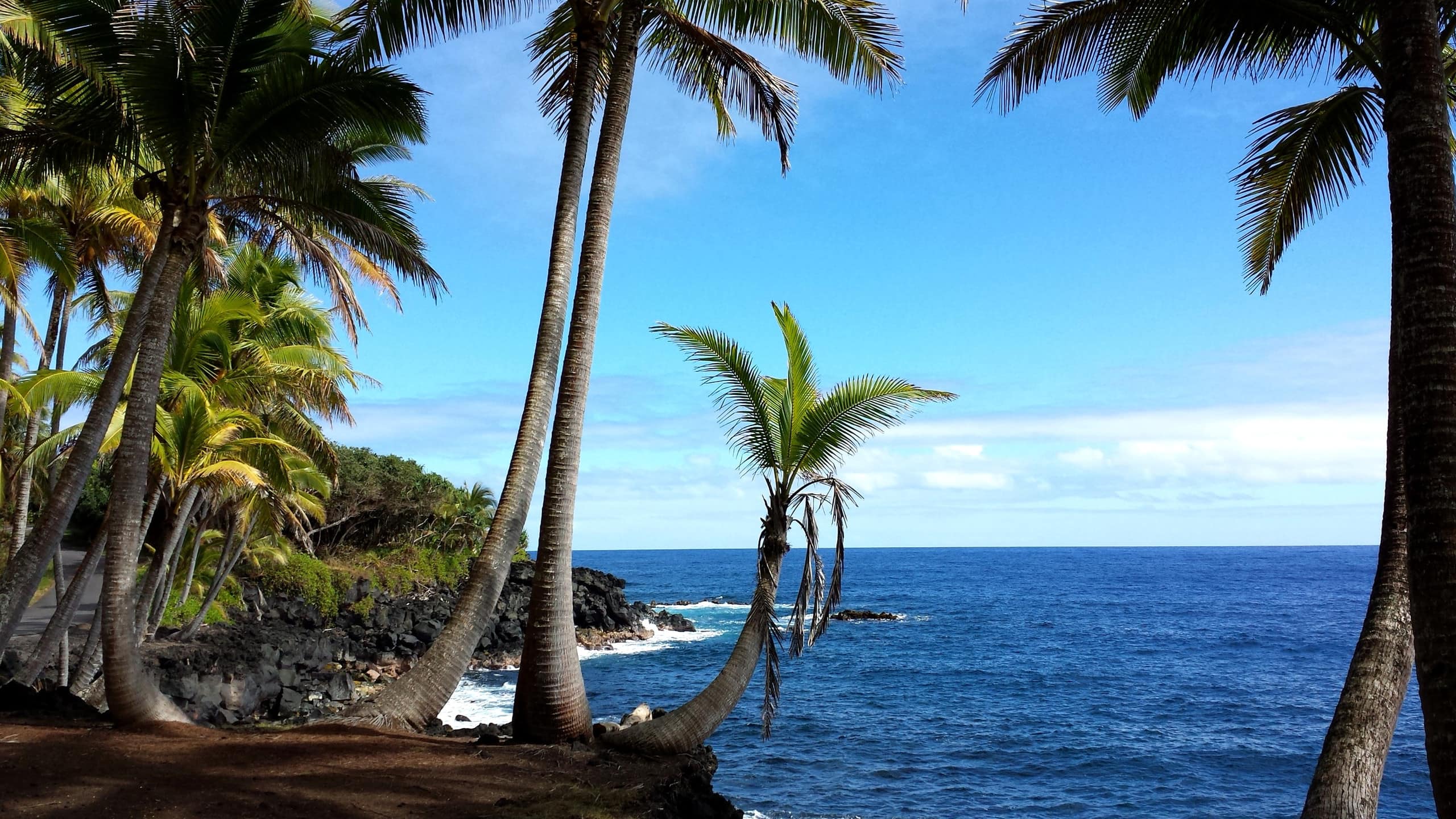 Home in Keaau · ★4.55 · 3 bedrooms · 3 beds · 2 shared baths - Image 21