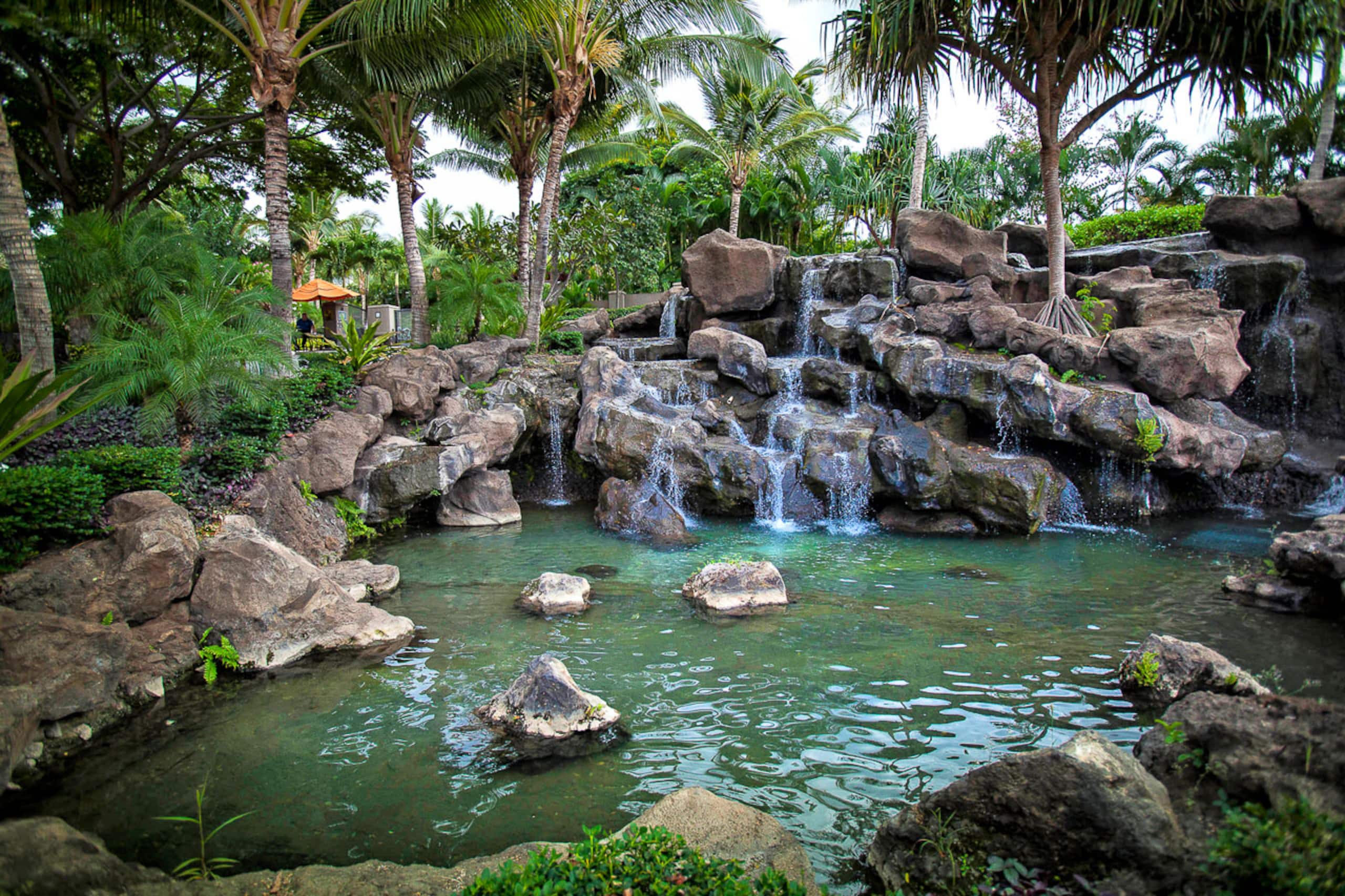 Townhouse in Kihei · ★4.94 · 3 bedrooms · 4 beds · 3.5 baths - Image 74