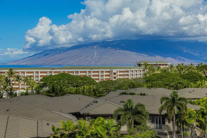 Artful Luxury Villa Views, Gourmet Kitchen 39-3 gallery image 2