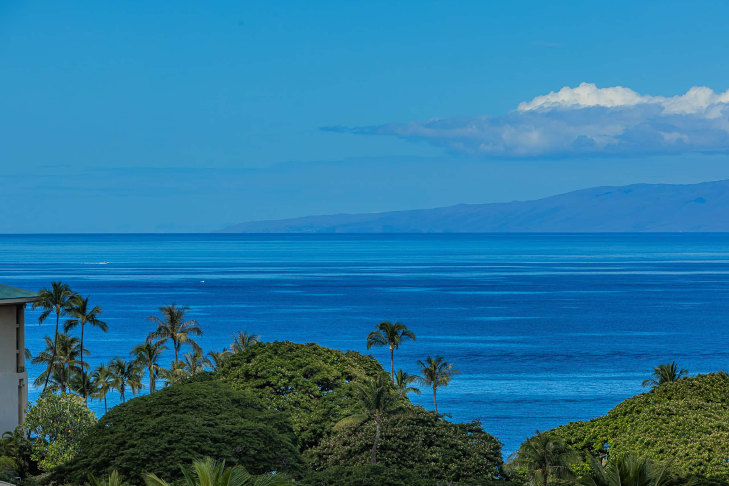 Townhouse in Kihei · ★4.94 · 3 bedrooms · 4 beds · 3.5 baths - Image 10