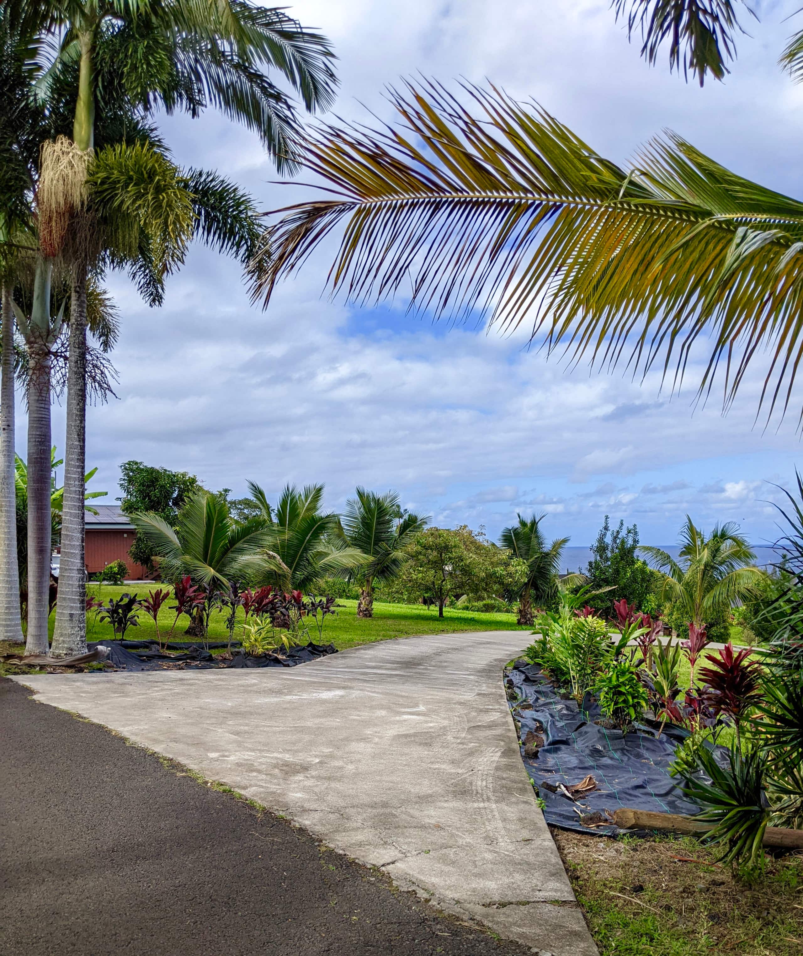 Home in Papaikou · ★4.97 · 2 bedrooms · 3 beds · 2 baths - Photo 73