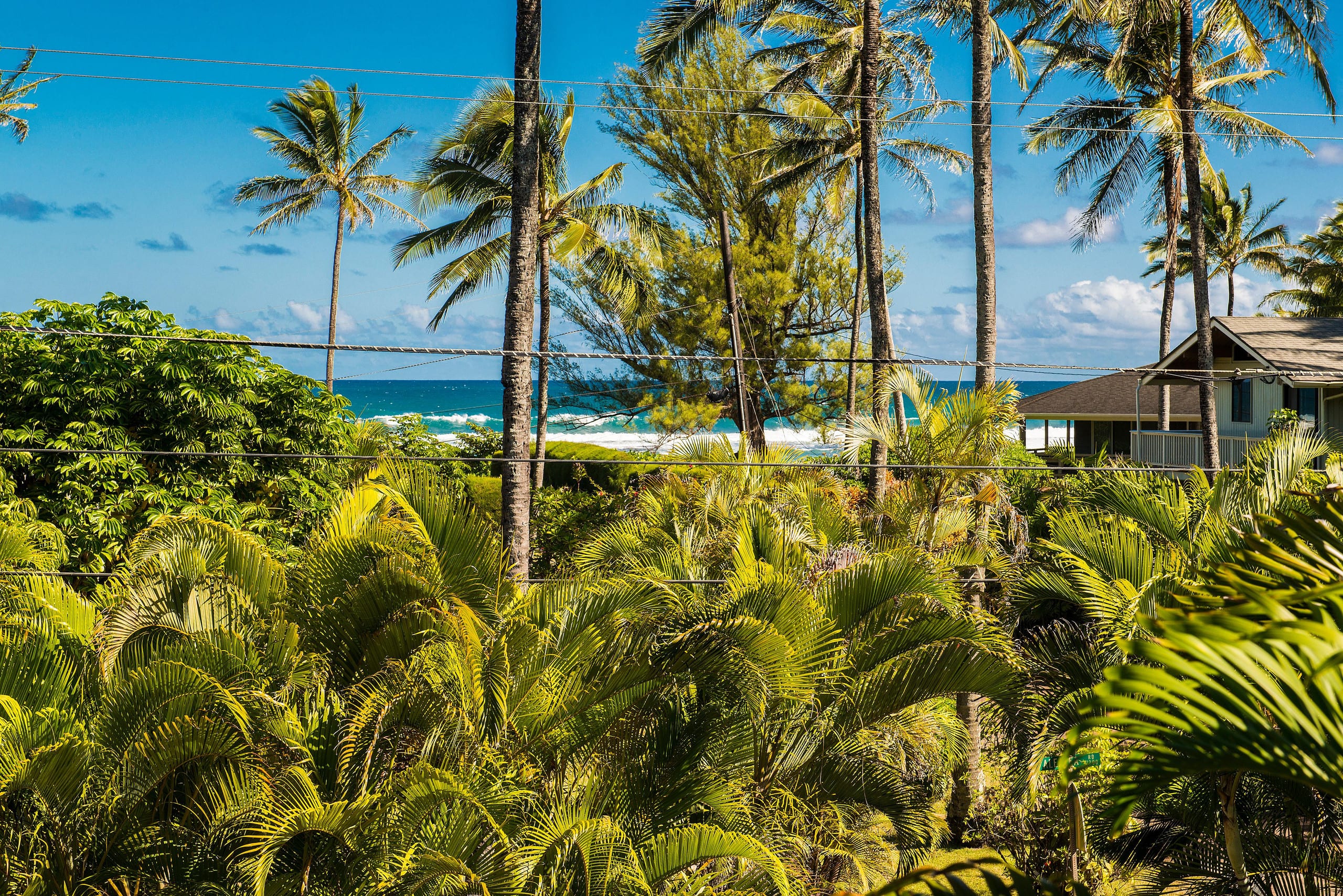 Home in Hanalei · ★4.89 · 3 bedrooms · 5 beds · 3 baths - Photo 36
