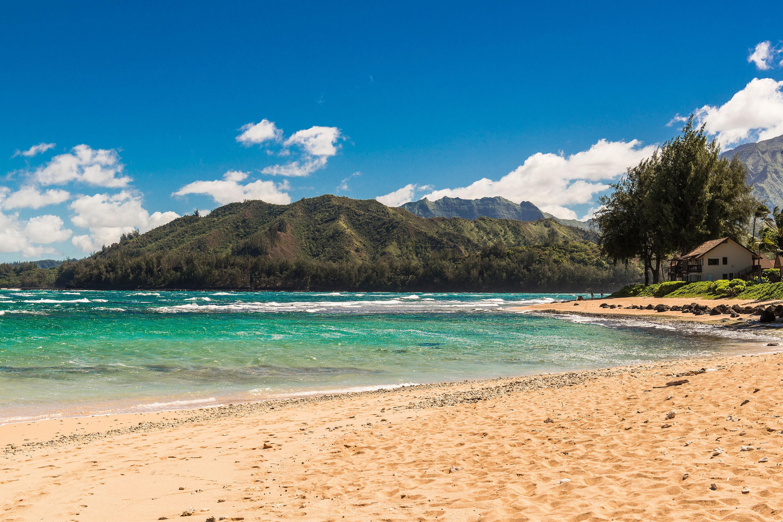 Home in Hanalei · ★4.89 · 3 bedrooms · 5 beds · 3 baths - Photo 42