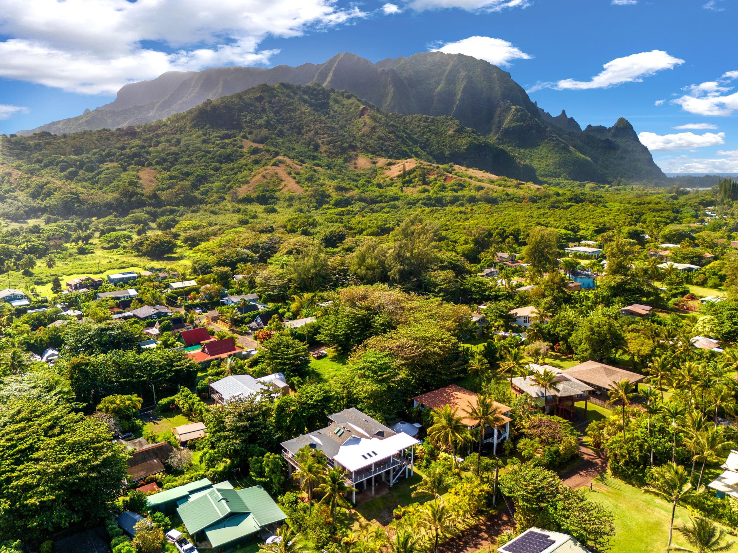 Home in Hanalei · ★4.89 · 3 bedrooms · 5 beds · 3 baths - Photo 37