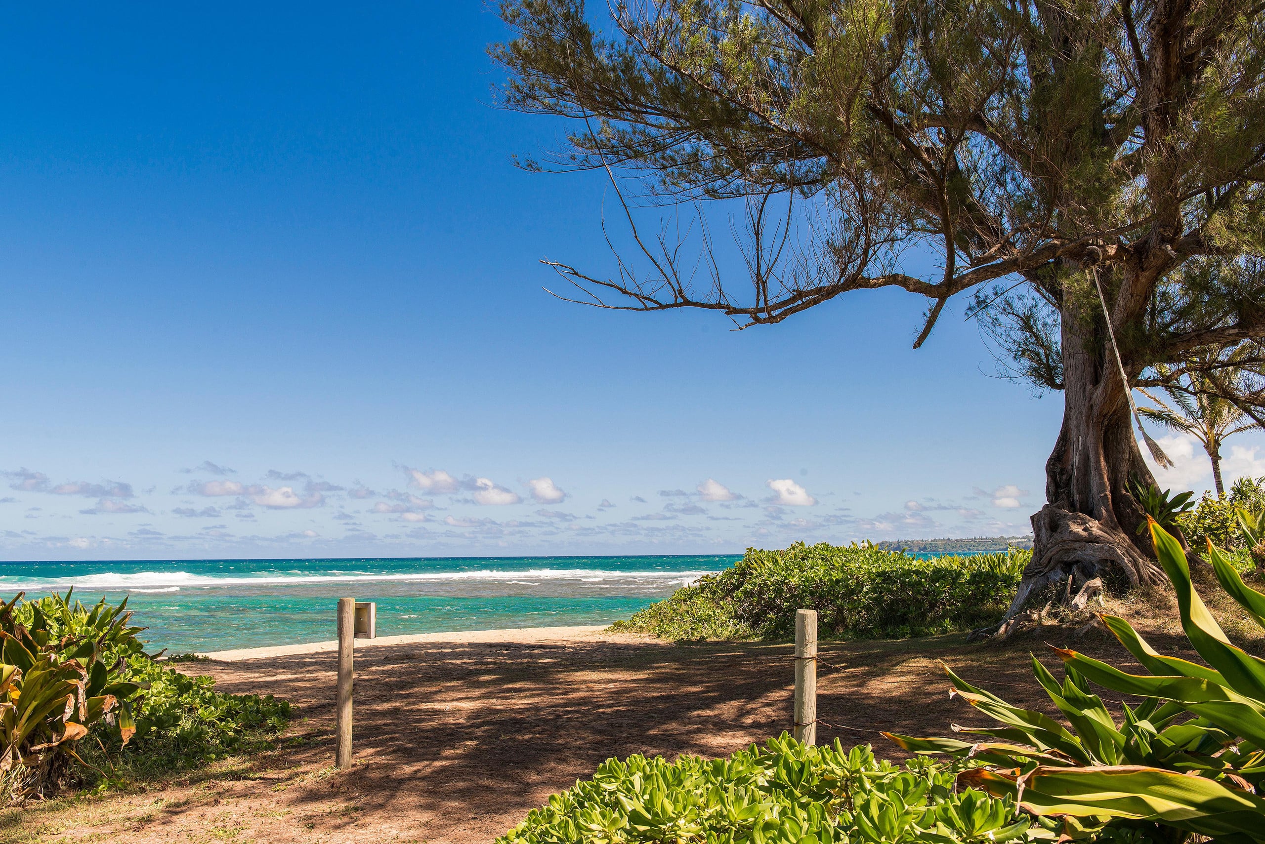 Home in Hanalei · ★4.89 · 3 bedrooms · 5 beds · 3 baths - Photo 41