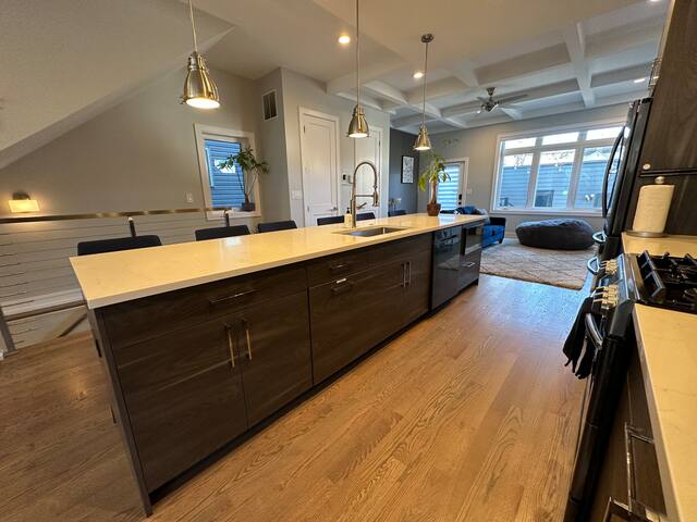 Modern SFH Near McCormick Place & Soldier Field gallery image 5