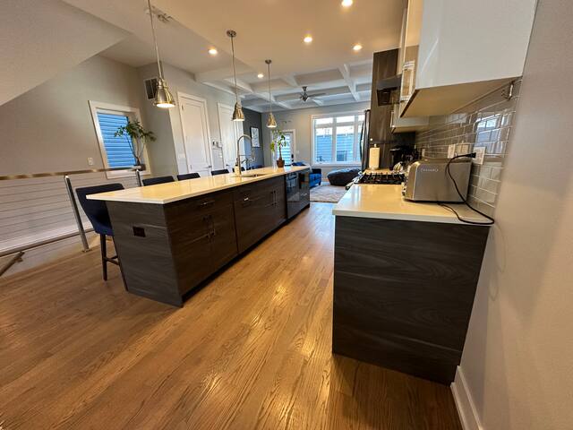 Modern SFH Near McCormick Place & Soldier Field gallery image 3