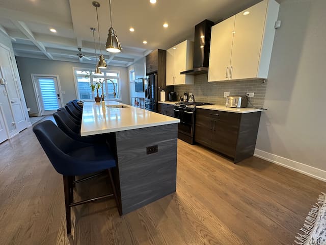 Modern SFH Near McCormick Place & Soldier Field gallery image 2