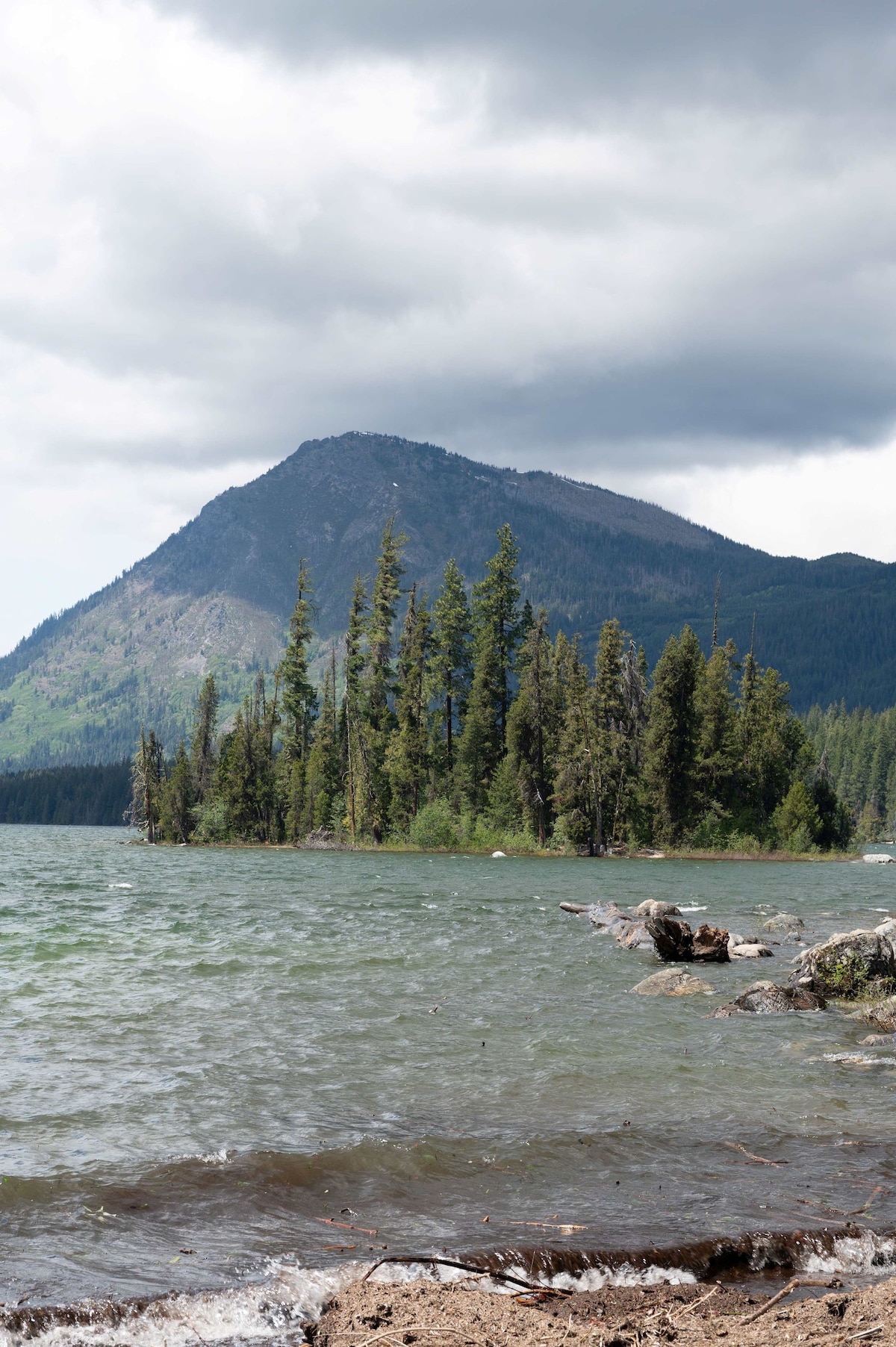 A tranquil lake is framed by tall pine trees and a distant mountain range partially covered by clouds. The gentle waves lap at the shoreline, and a fallen log is visible in the foreground, enhancing the natural landscape.
