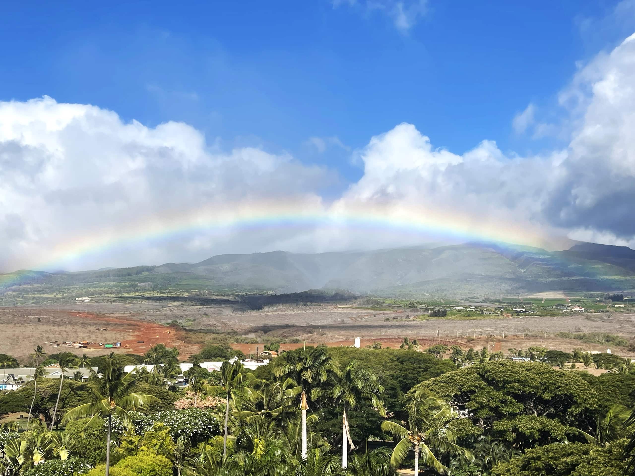 Condo in Lahaina · ★5.0 · 2 bedrooms · 3 beds · 2 baths - Image 28