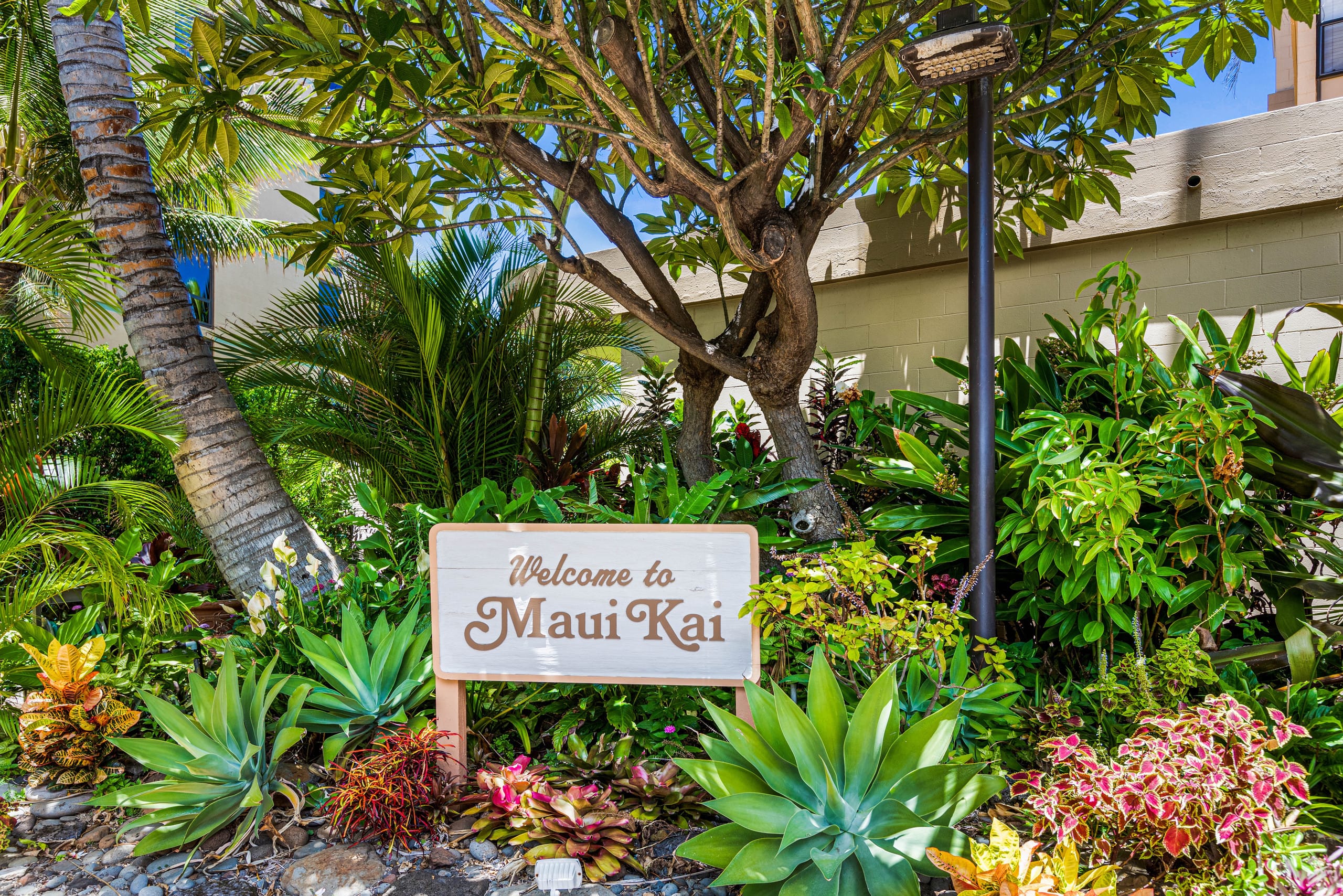 Condo in Kaanapali · ★4.8 · 1 bedroom · 2 beds · 1 bath - Image 18