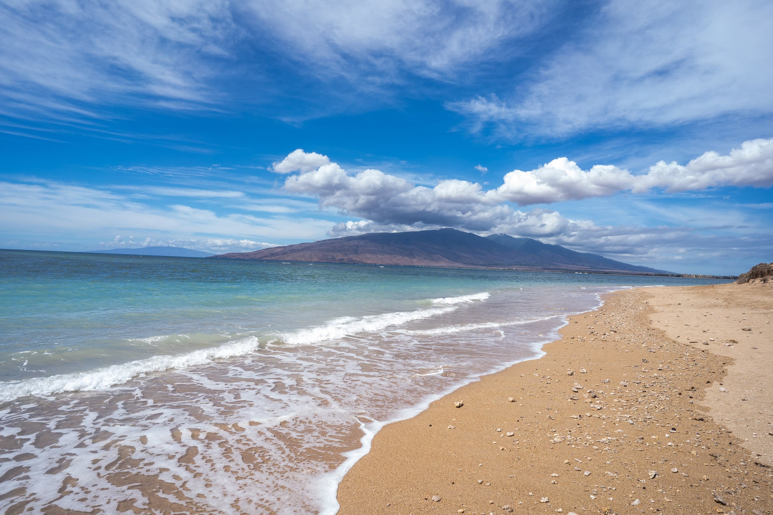 Condo in Kihei · ★4.95 · 1 bedroom · 2 beds · 1 bath - Image 45